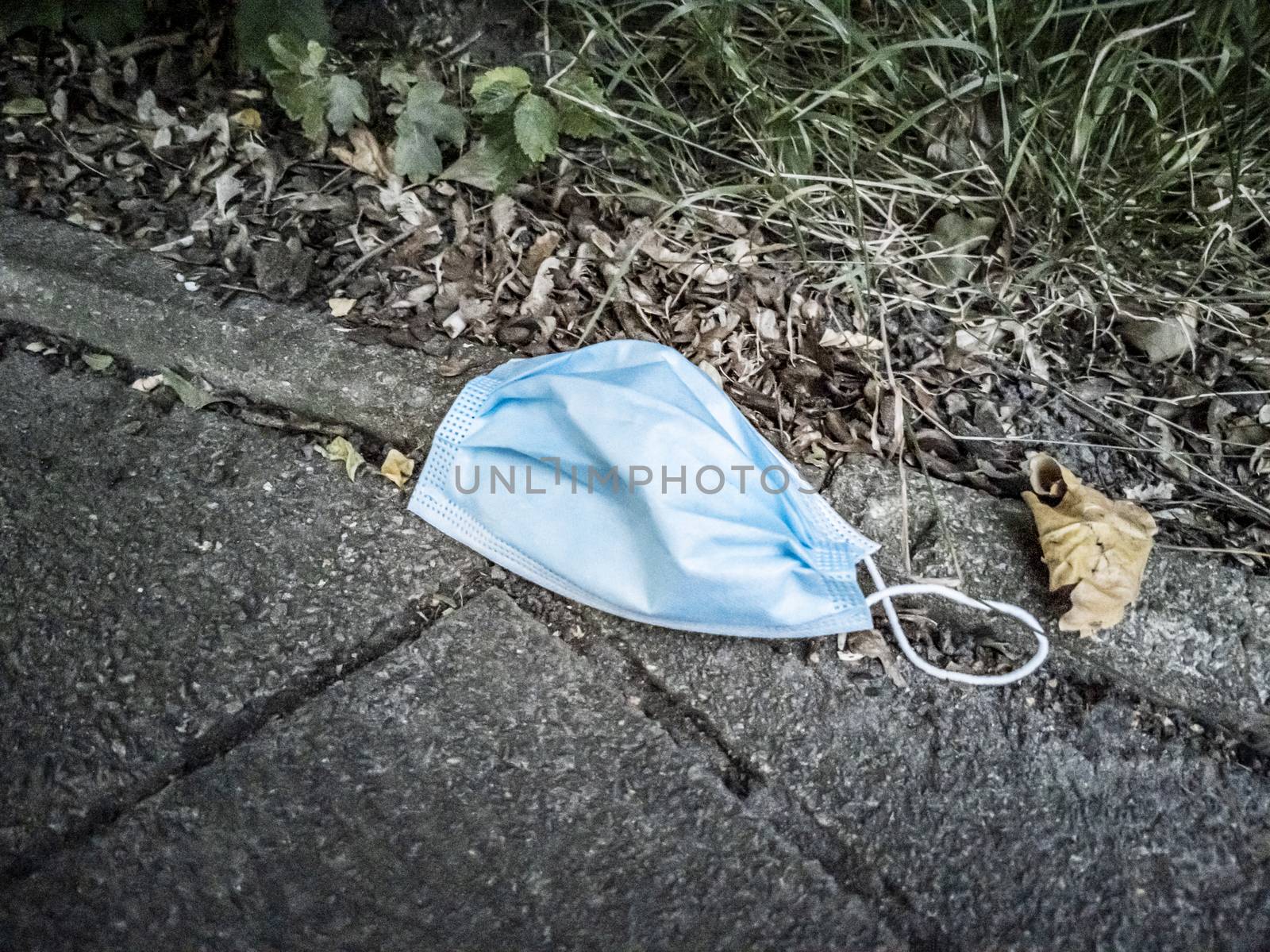 Surgical masks in nature. Corona virus pollution. Leherheide, Bremerhaven.