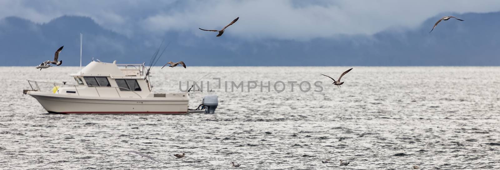 Fishing boat drifting in a bay with birds flying above it. Soft focus background. Alaska, USA