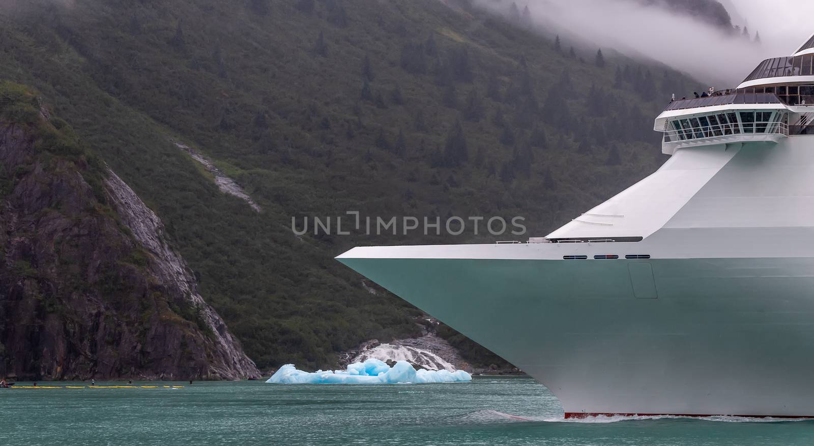 Cruise ship sailing in Alaska among icebergs by DamantisZ