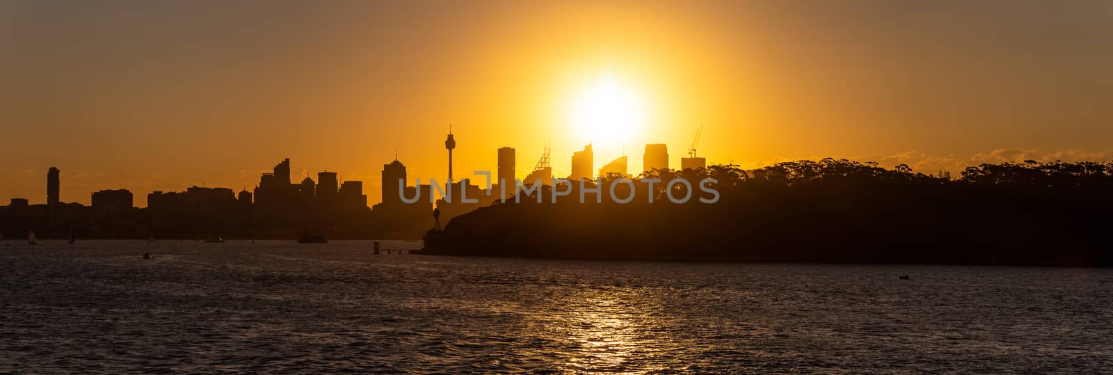 Panoramic silhouette view of Sydney downtown and harbor with trees in the foreground. Beautiful orange sky and sun setting in the background