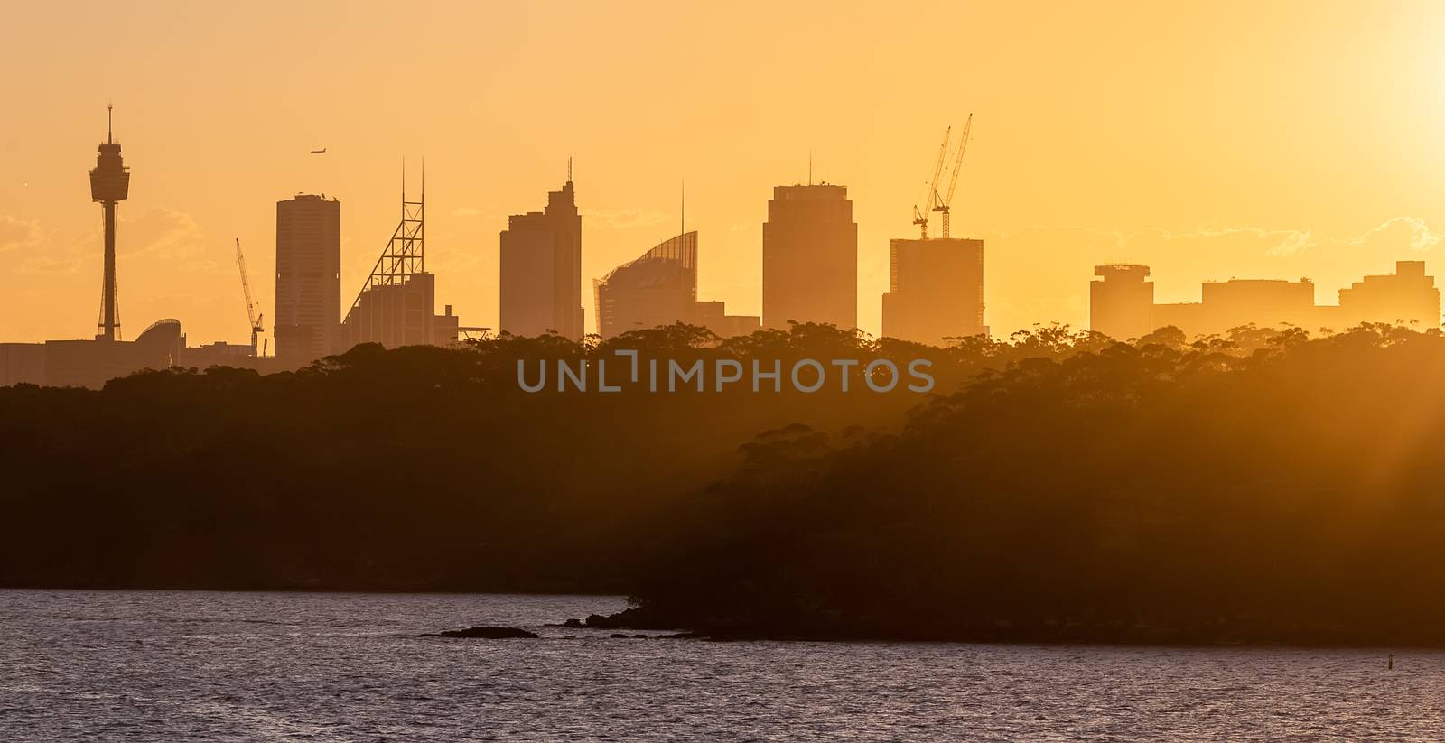 Close silhouette view of Sydney downtown with trees in the foreground. Sun rays spreading an amazing orange color cast over the trees. Beautiful sky.