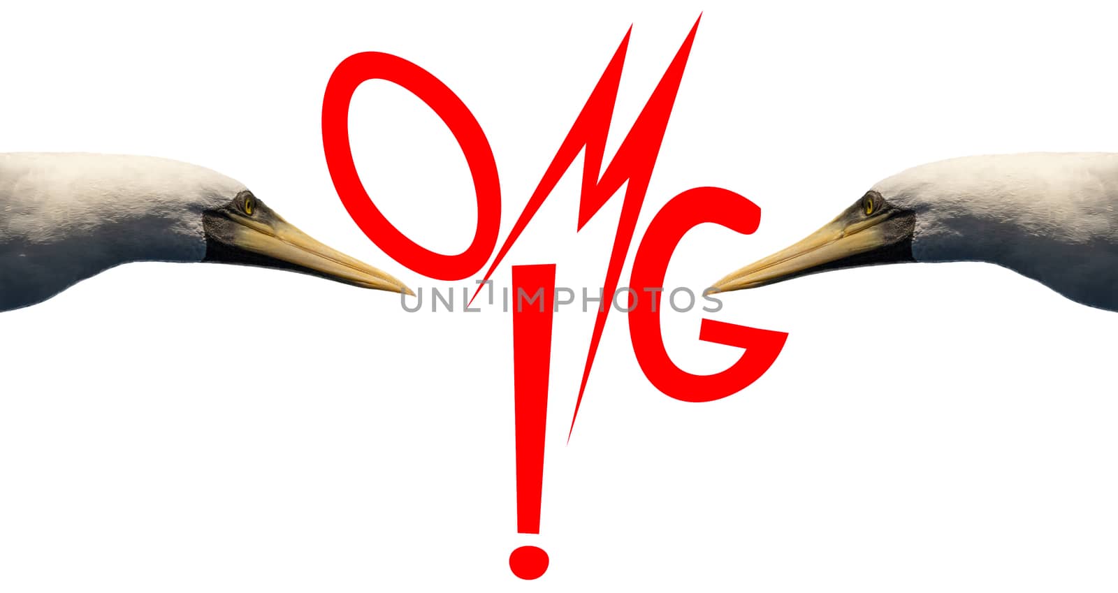 Word OMG! in red letters on white background by DamantisZ