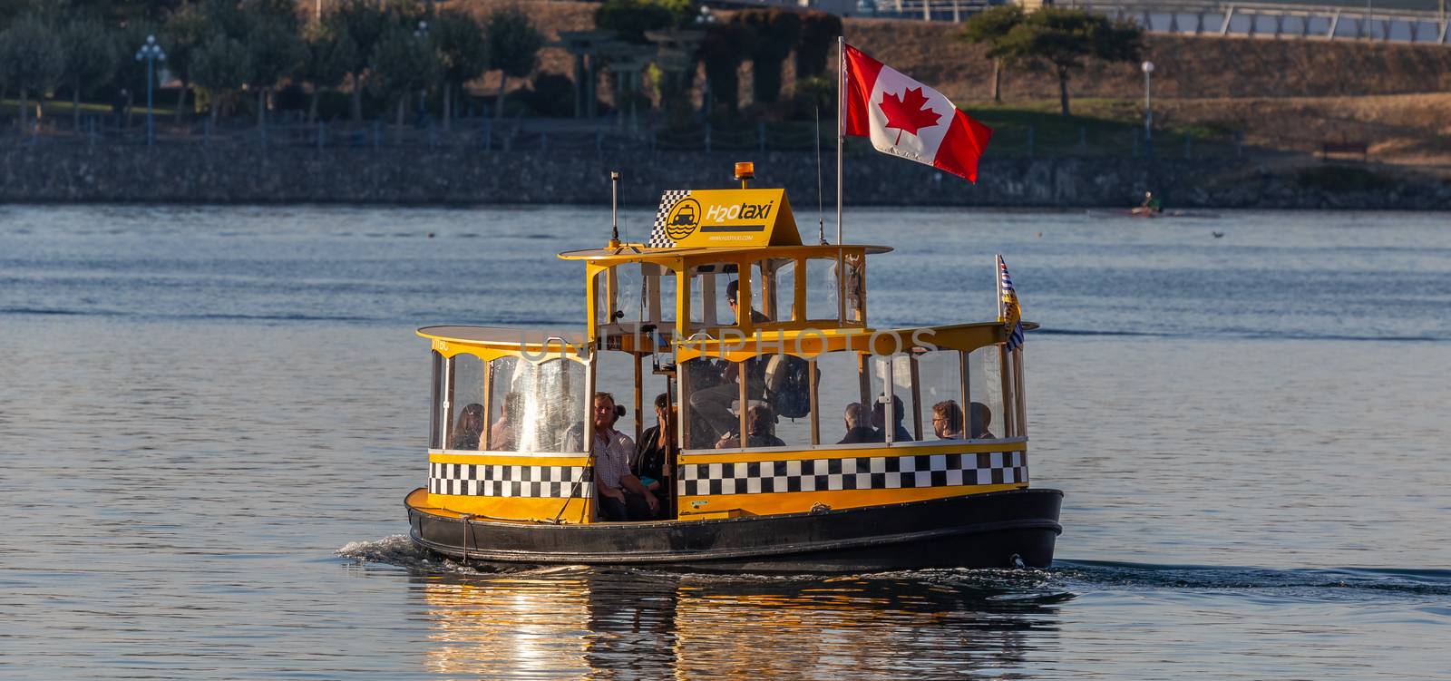 Victoria, BC, Canada - September 4, 2018: Yellow water taxi sailing at sunset in the harbor with passengers inside. Canadian flag on top of it.