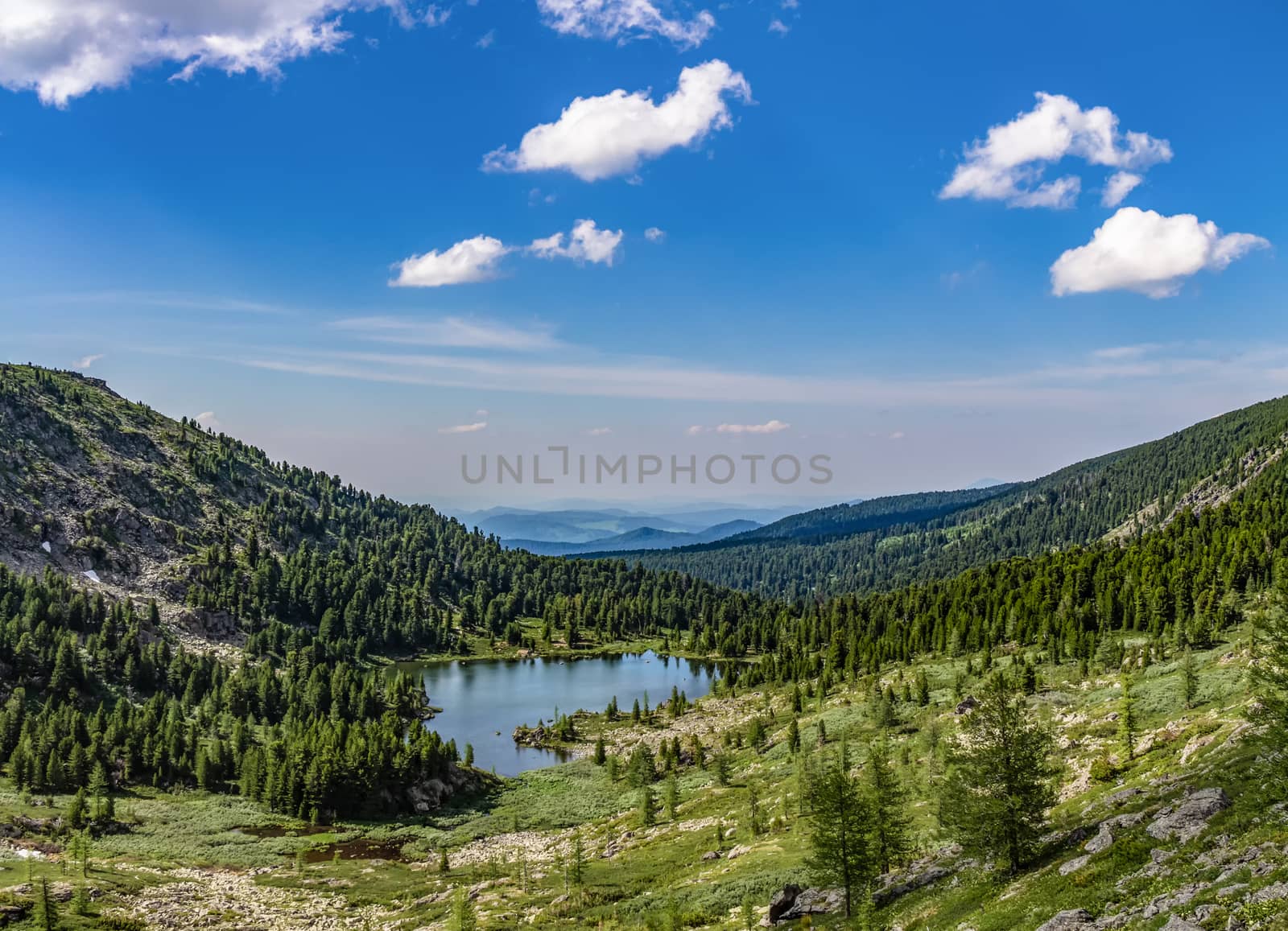 Beautiful green valley with a lake in Altai by DamantisZ