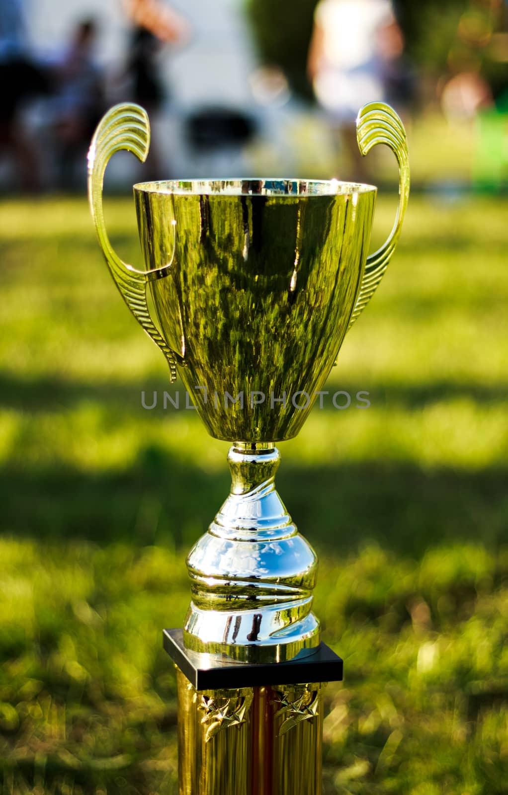 Champion's cup in power extreme games by DamantisZ