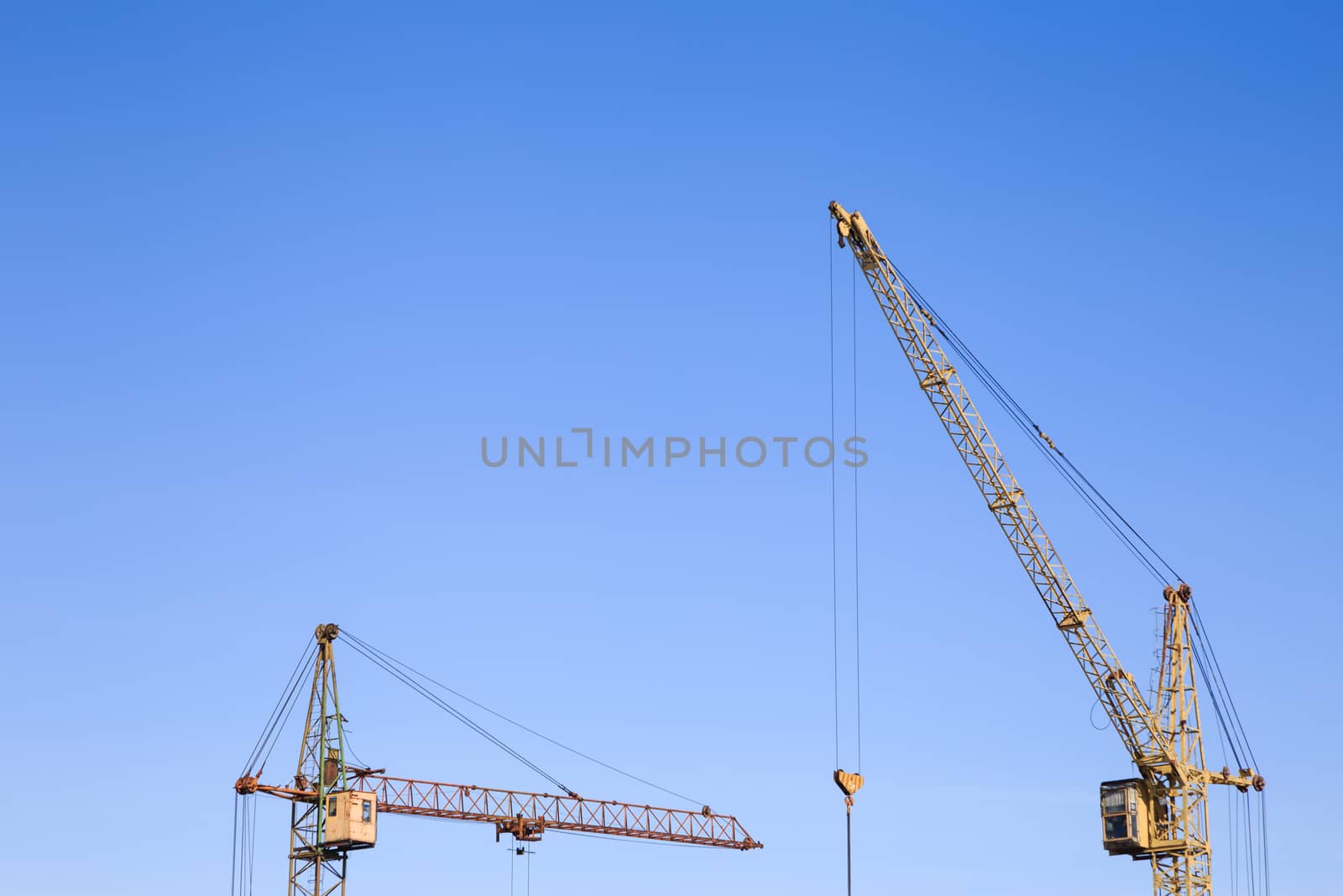 Two cranes on a light blue sky background by DamantisZ