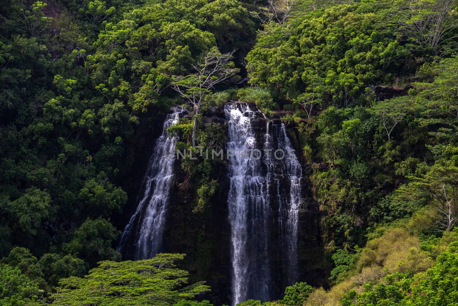 View of a gorgeous waterfall surrounded by green tropical forest in Hawaii, USA
