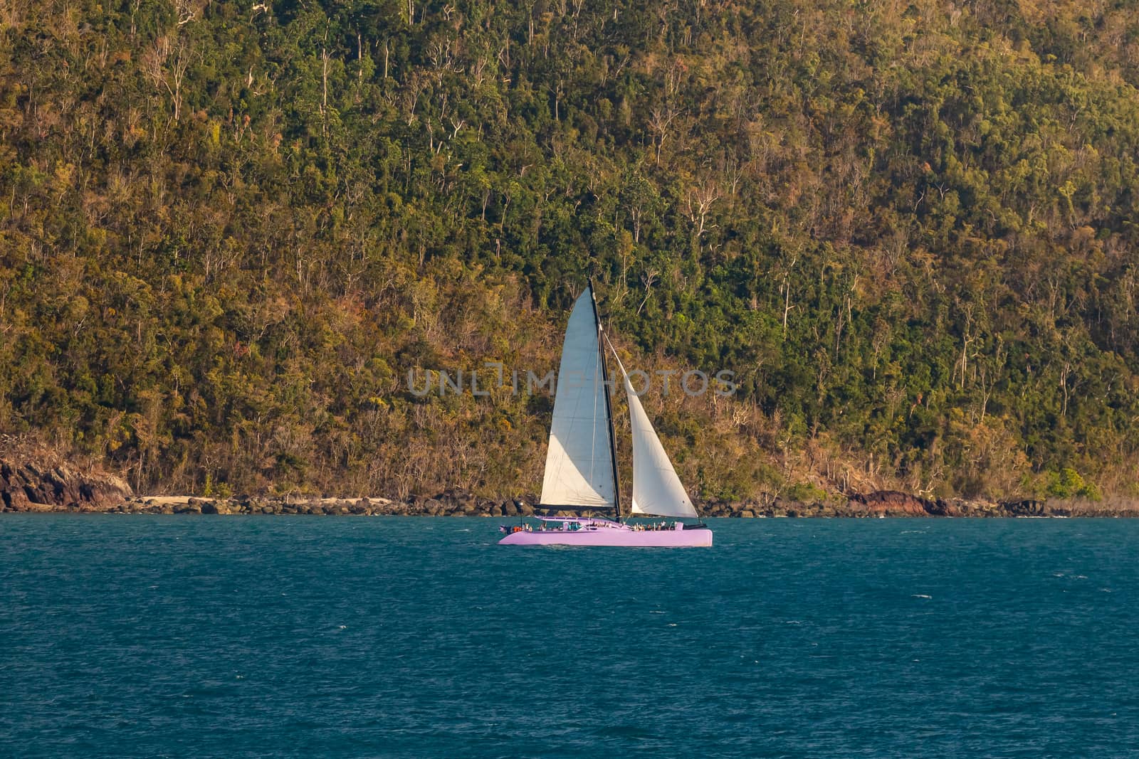Purple yacht sailing next to a tropical island