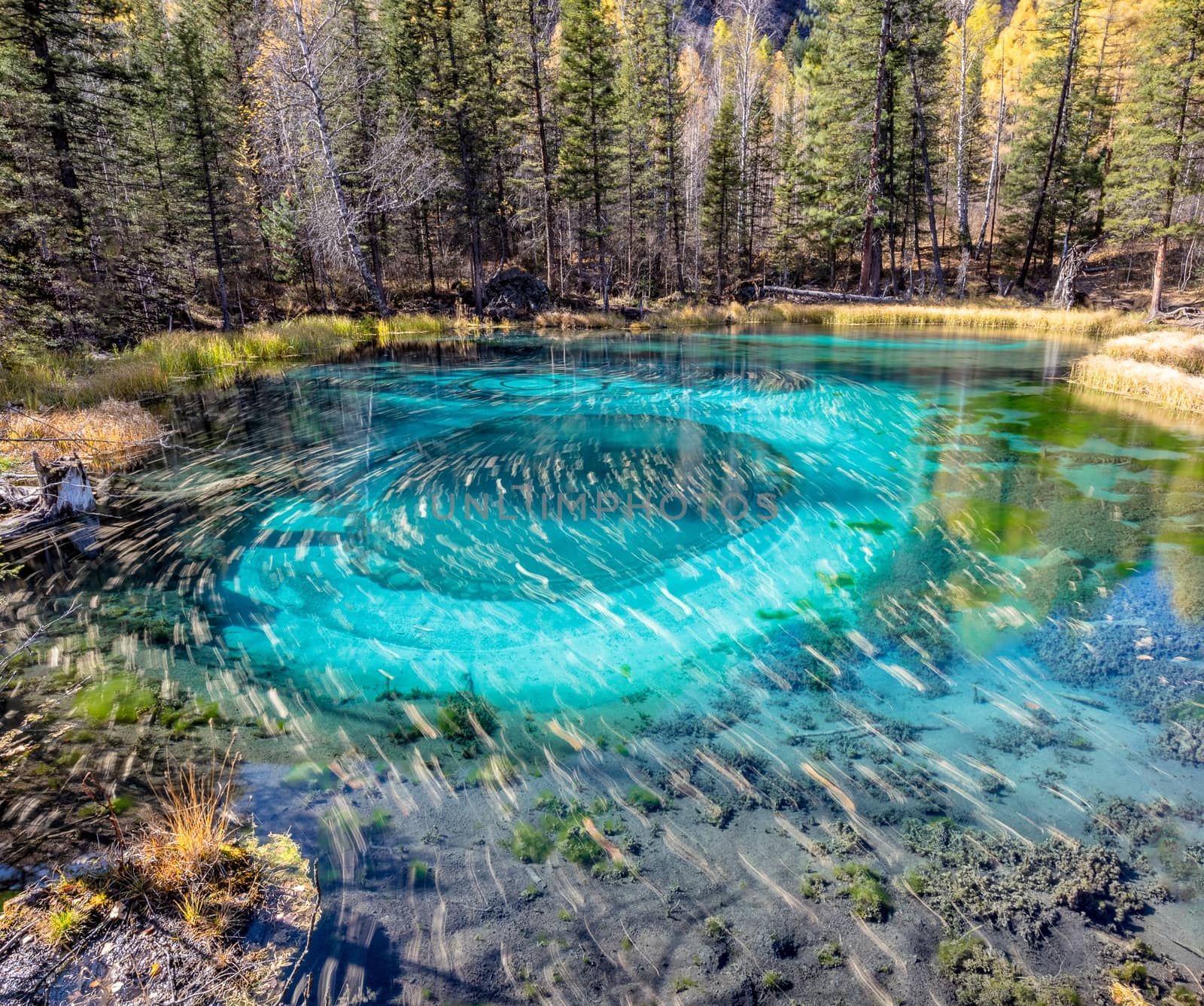 Beautiful geyser lake with turquoise water, leaves by DamantisZ
