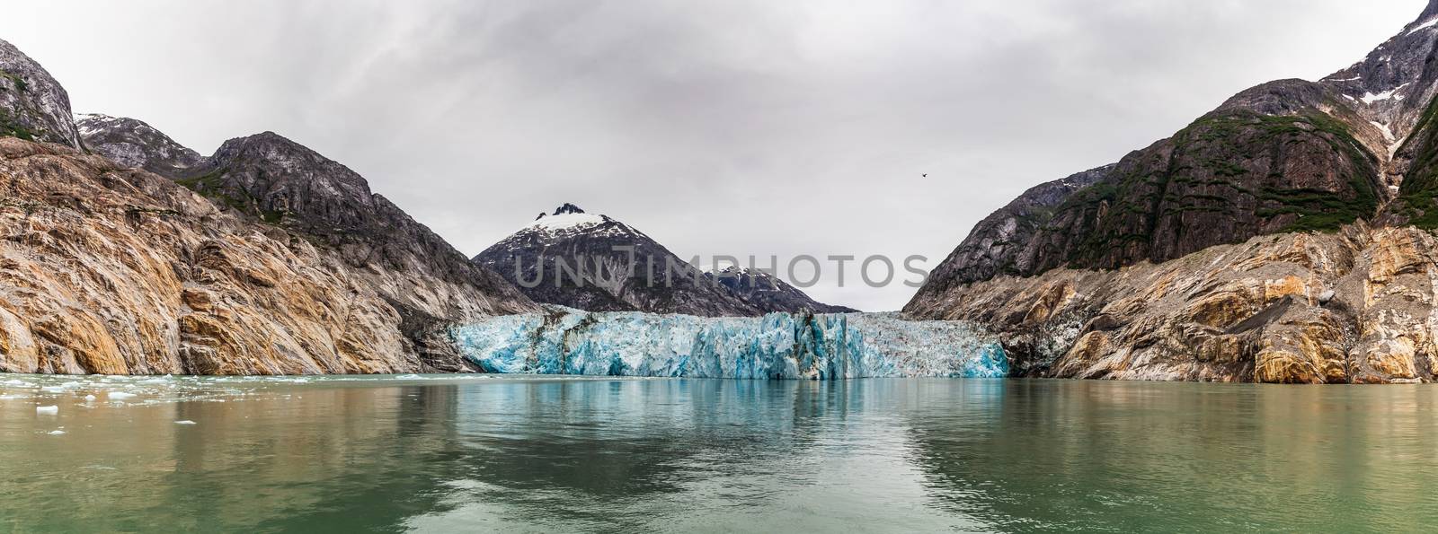 Panorama of Endicott Arm Glacier in Alaska by DamantisZ