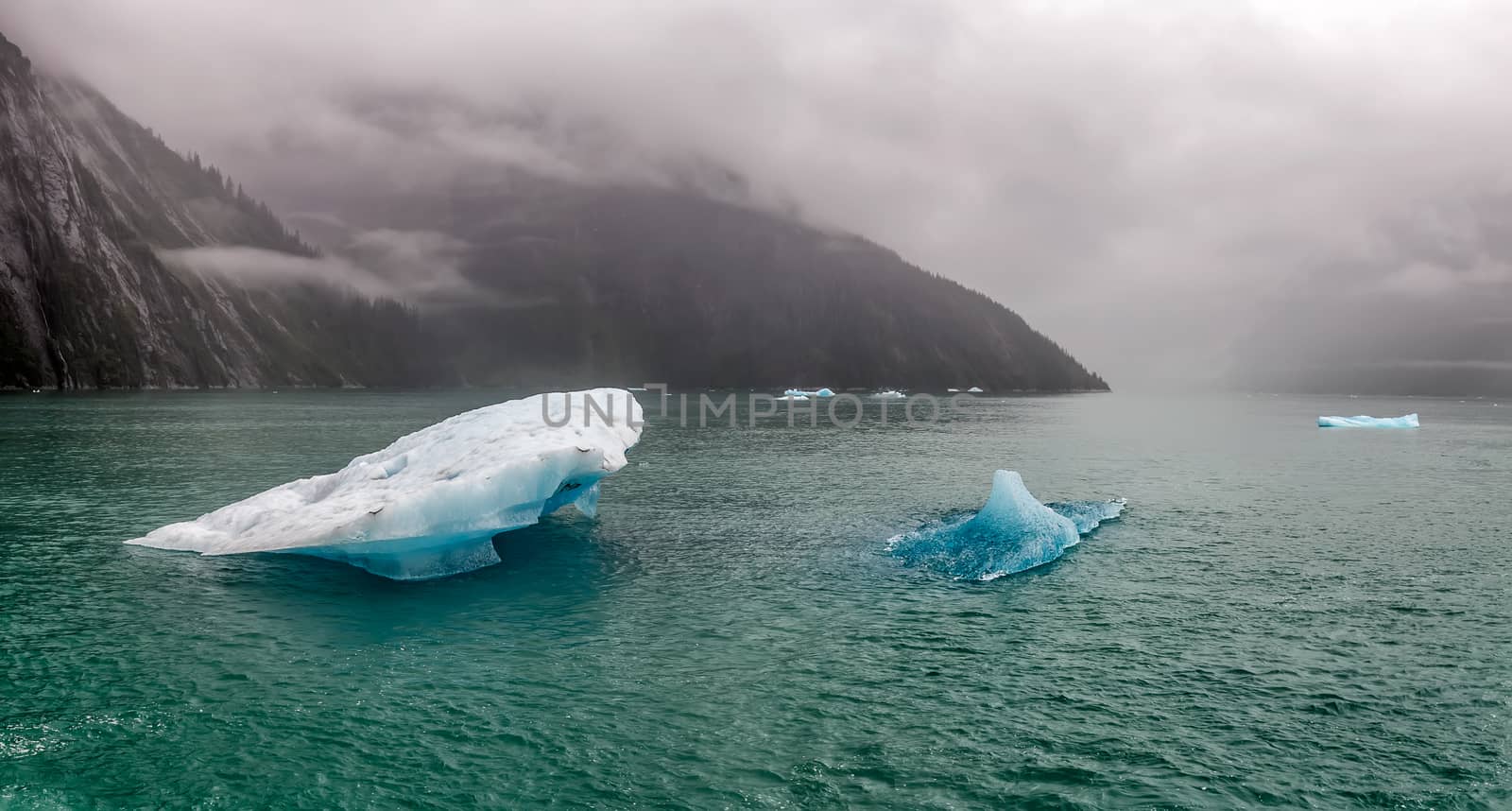 Icebergs floating in the water in Tracy Arm Fjord in Alaska