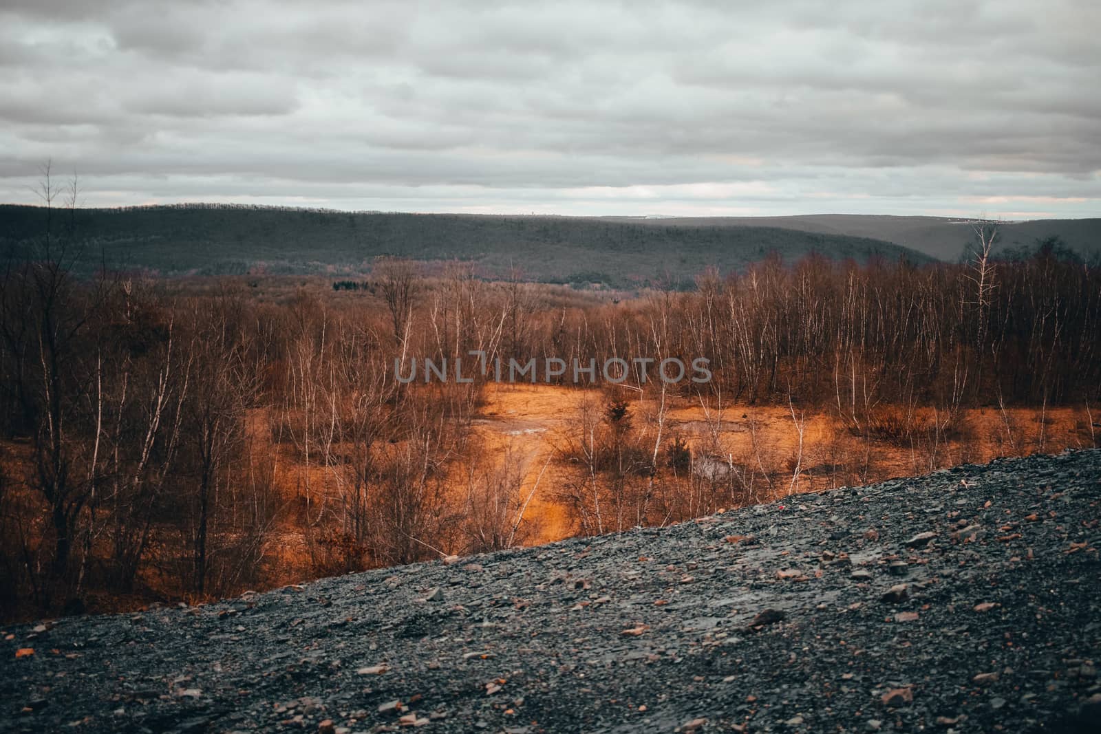 The View Into an Autumn Forest From atop a Large Rock Hill