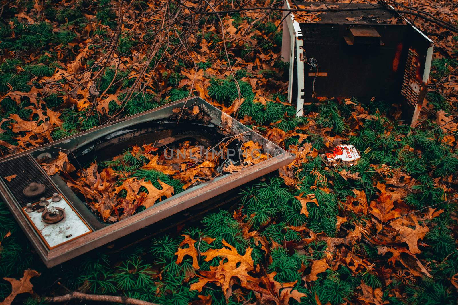 A Vintage Broken Television Set in a Patch of Grass and Orange Leaves