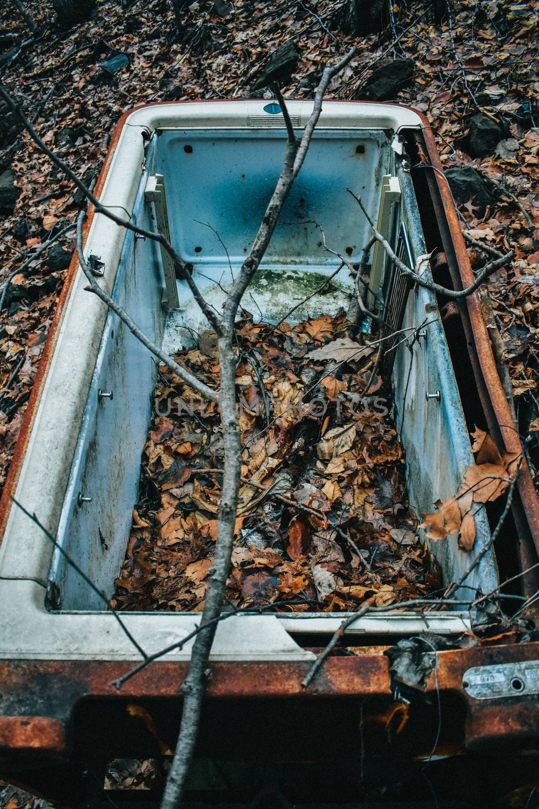 A Rusty Vintage Refridgerator With No Door Forgotten in the Woods