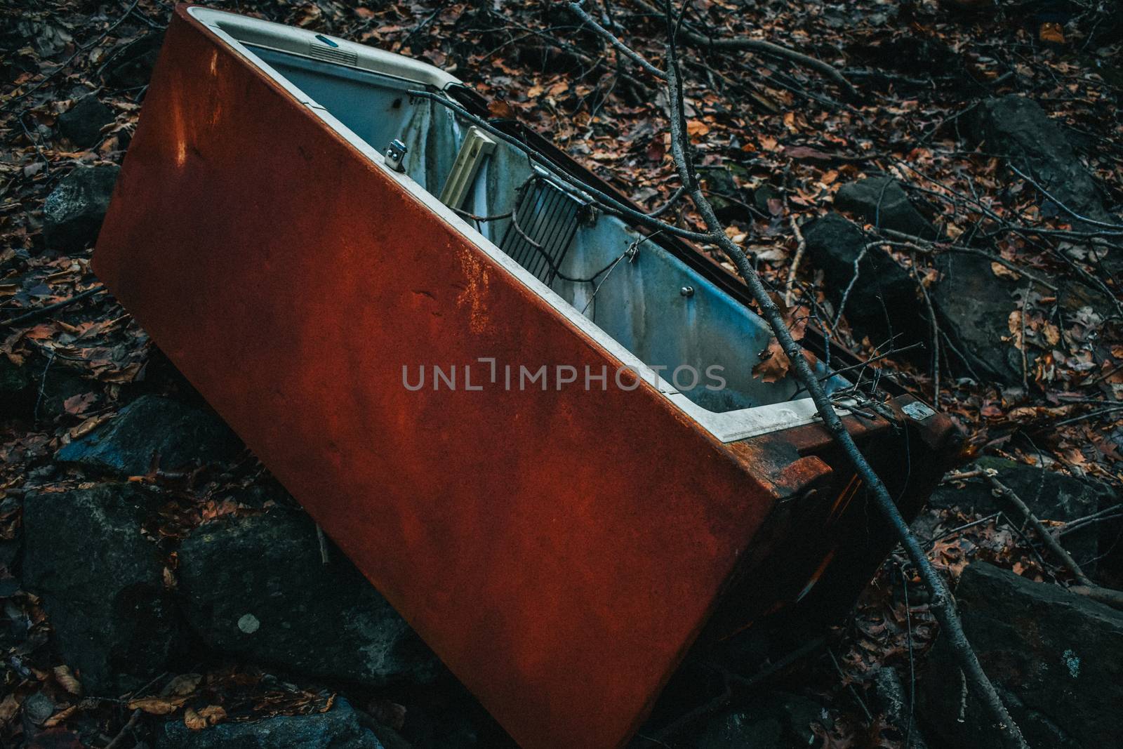 A Rusty Vintage Refridgerator With No Door Forgotten in the Woods