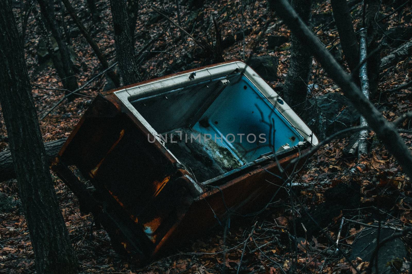 An Abandoned Vintage Refridgerator Forgotten in the Woods by bju12290