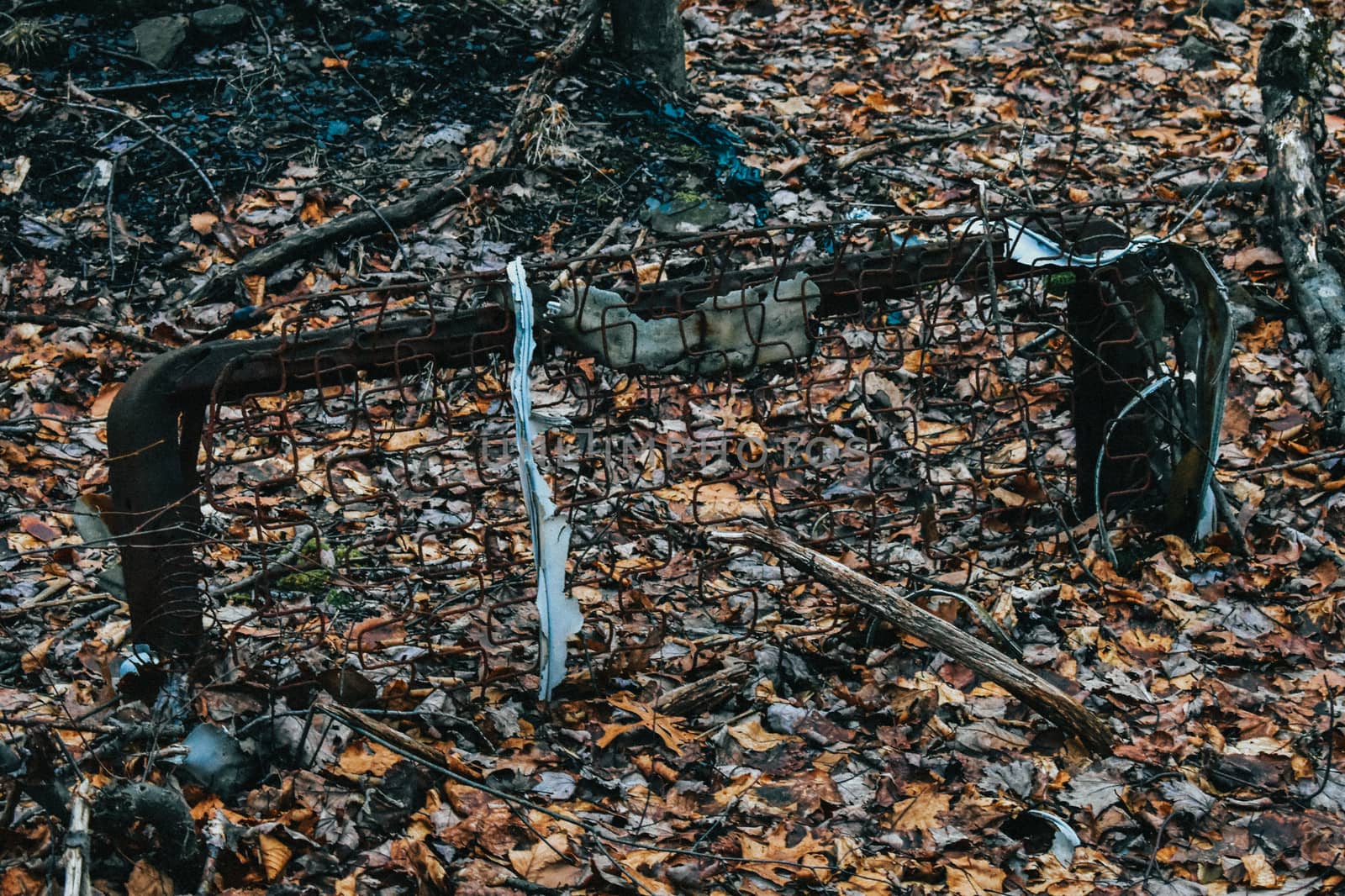 A Broken Bed Frame Left in the Autumn Forest by bju12290