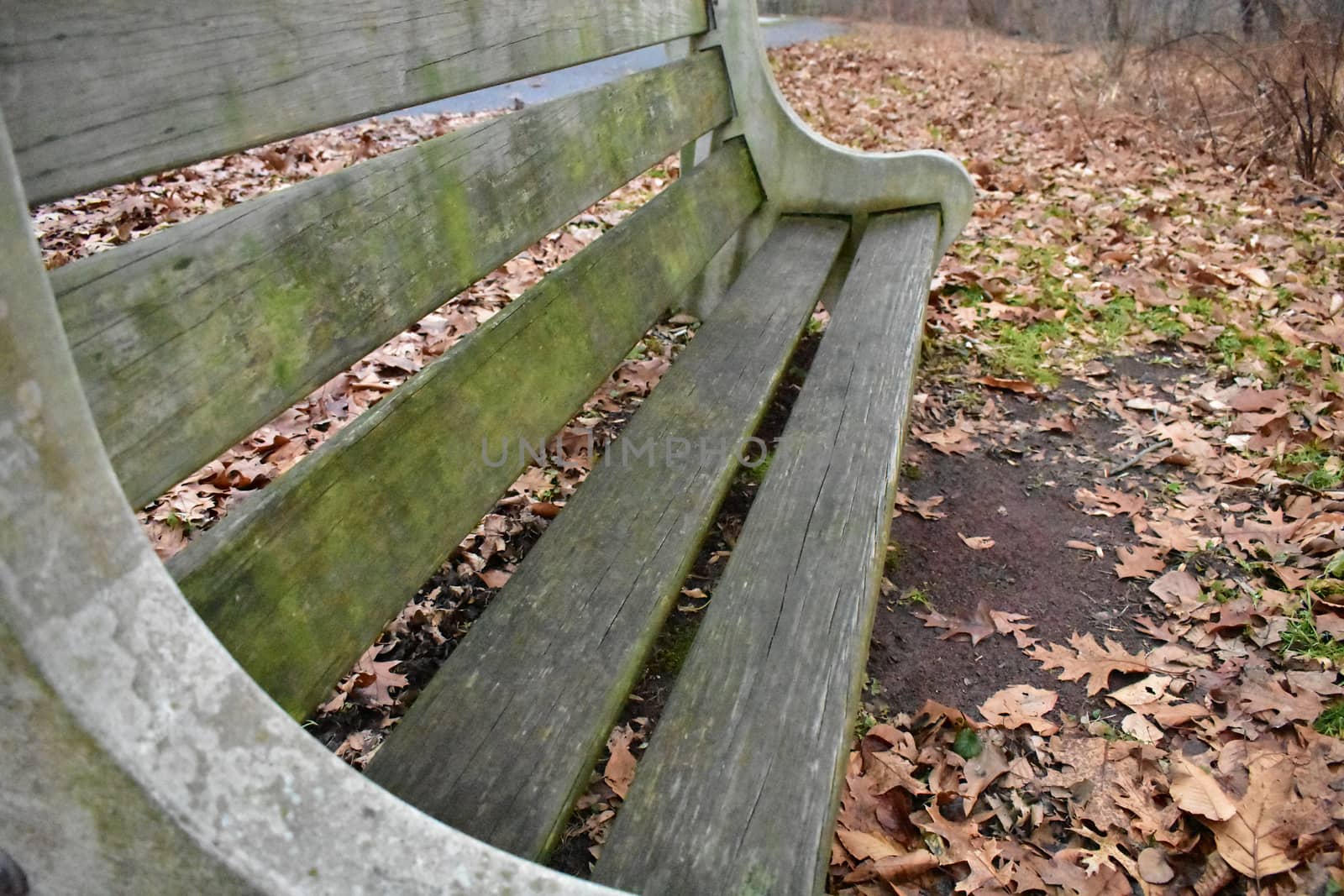A Concrete and Wood Bench in an Autumn Forest by bju12290