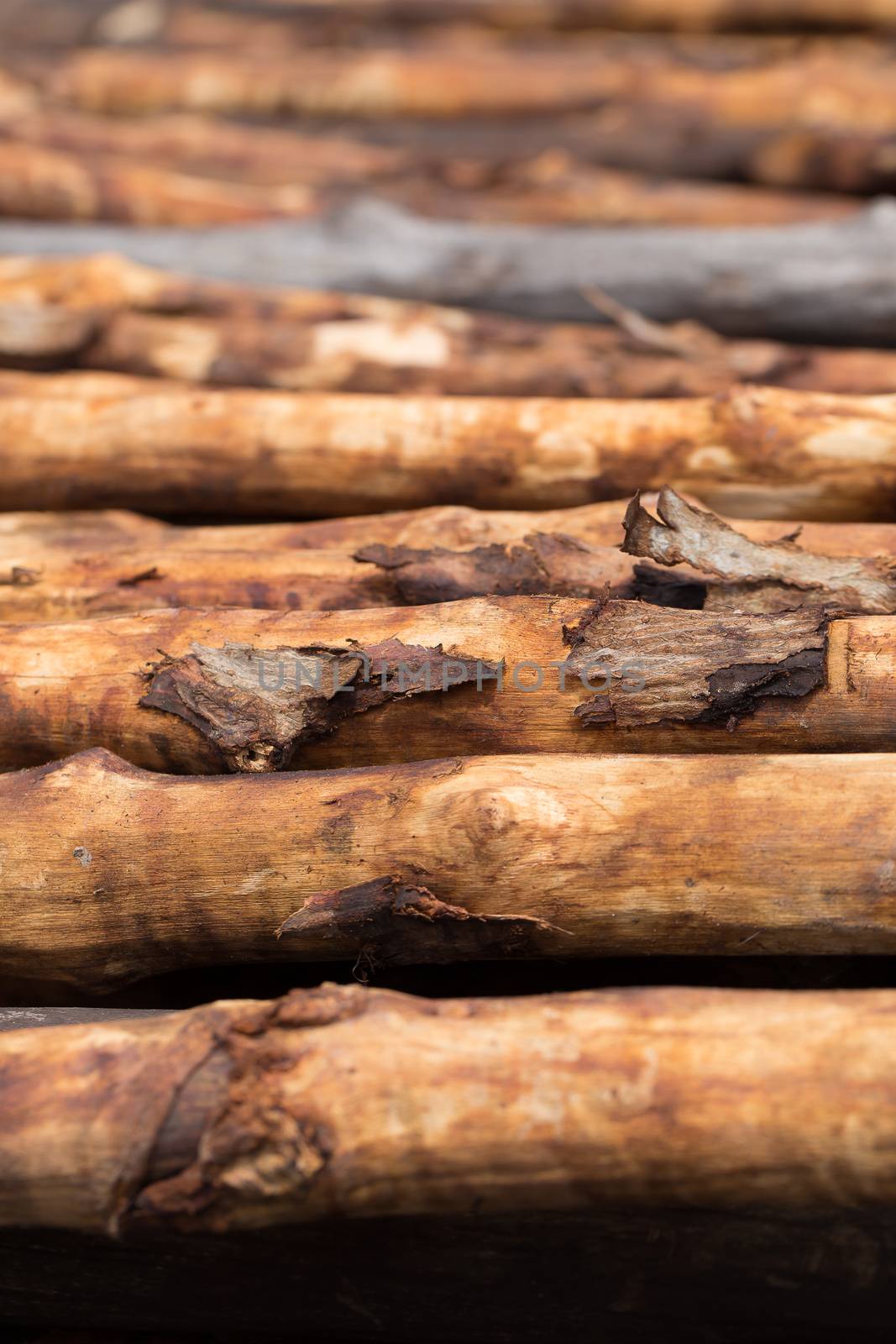 Firewood stacked and prepared for winter Pile of wood logs by kaiskynet