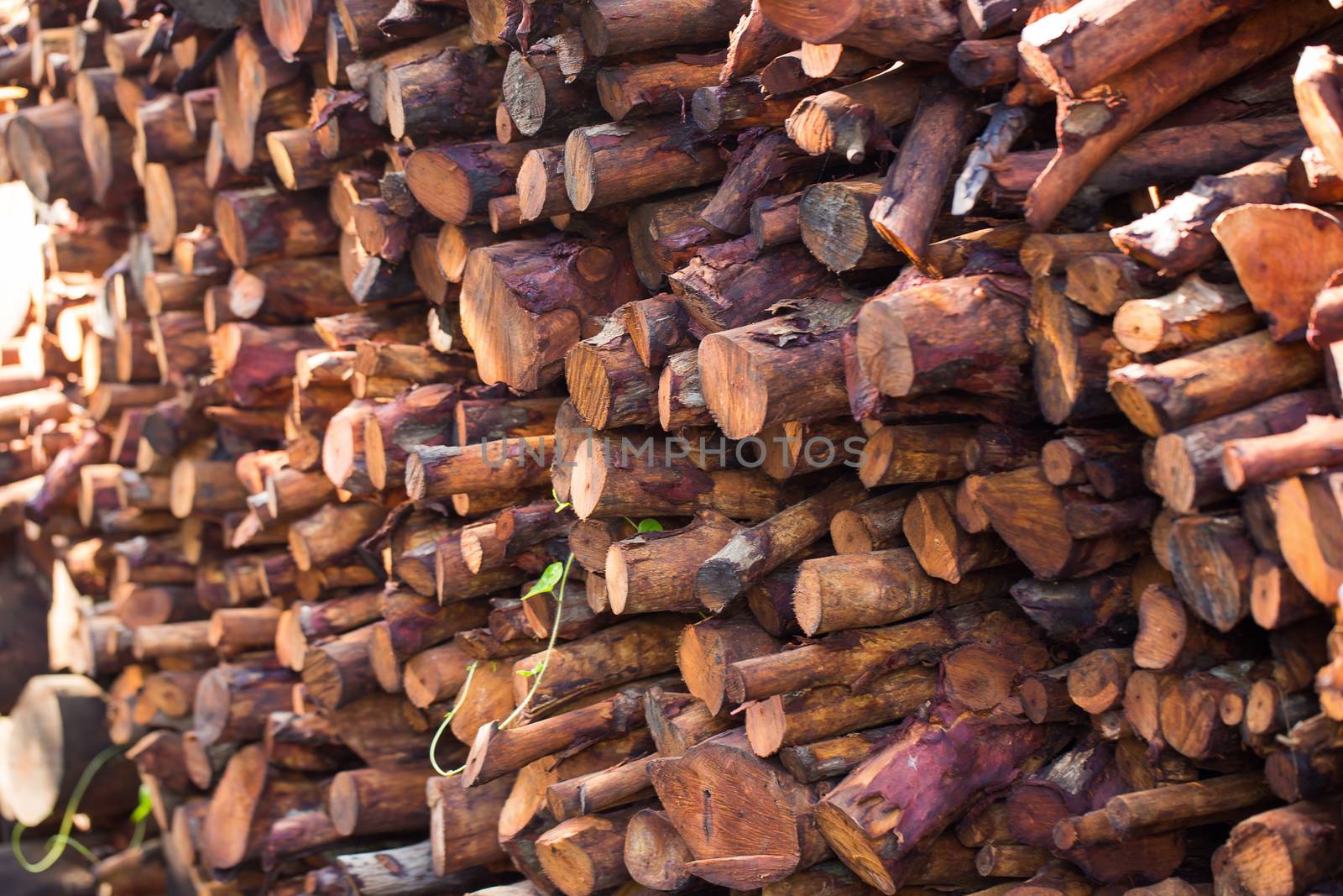 Firewood stacked and prepared for winter Pile of wood logs.