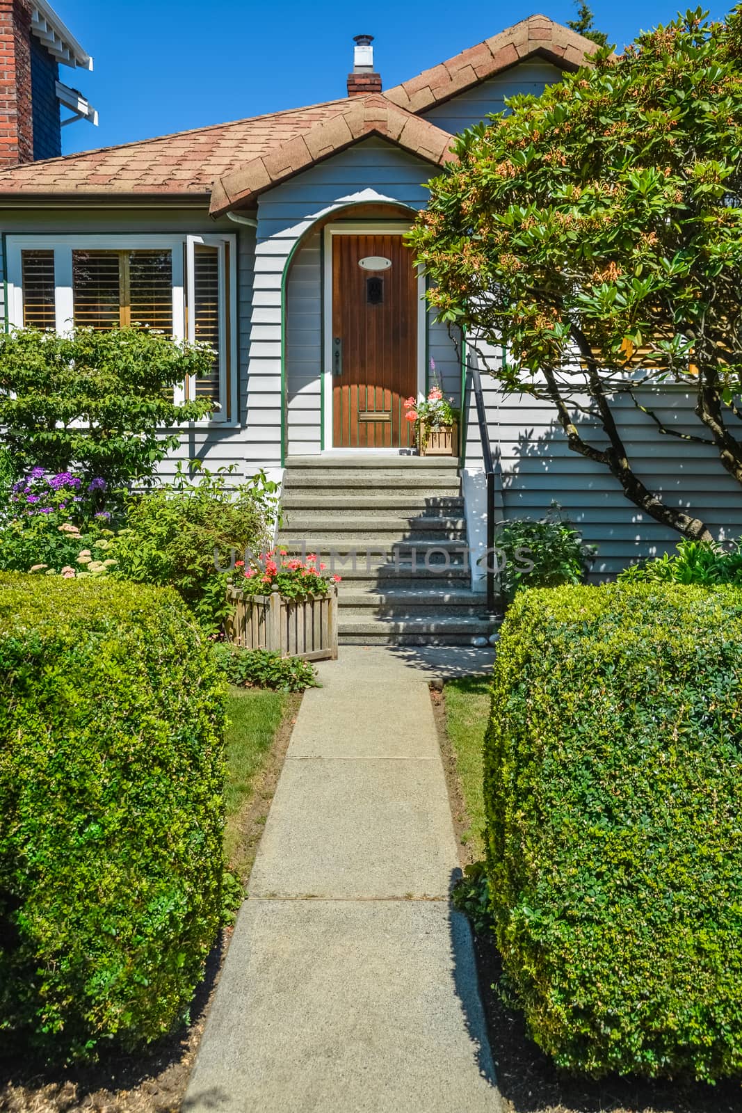Concrete pathway to residential house entrance via landscaped front yard with hedgerows by sides