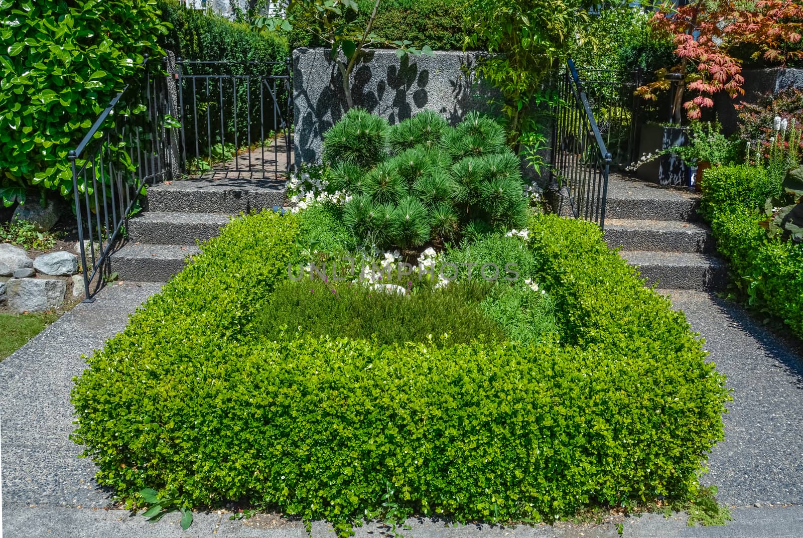 Delicately landscaped front yard of residential house