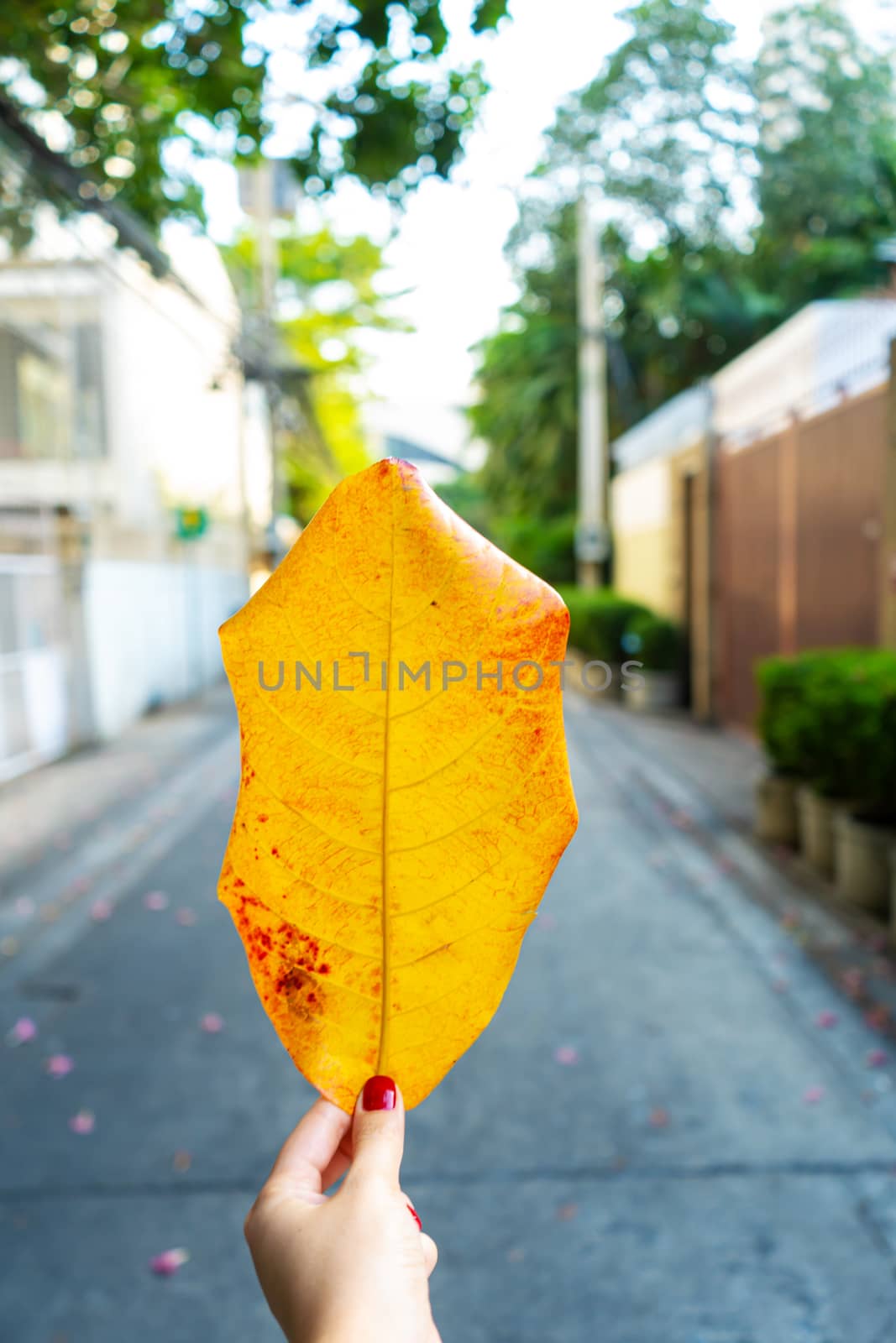 The girl holds in her hand a large yellow sheet on the background of the street of Bangkok