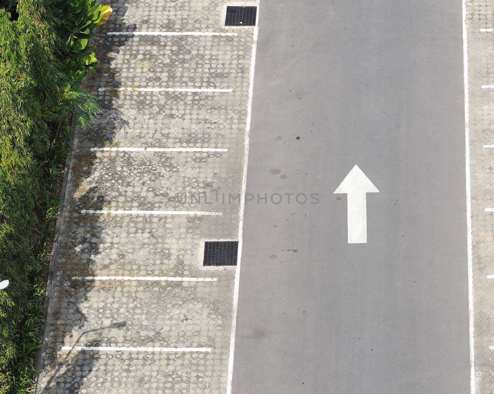 Carpark concrete outdoor and white line and white arrow and tree.