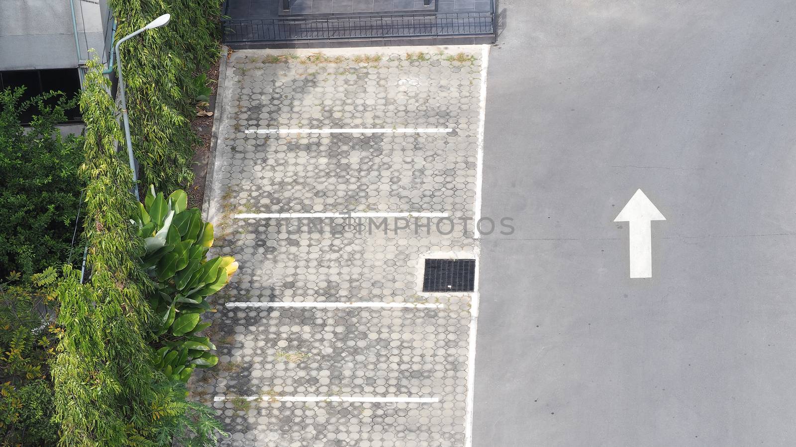 Carpark concrete outdoor and white line and white arrow and tree.