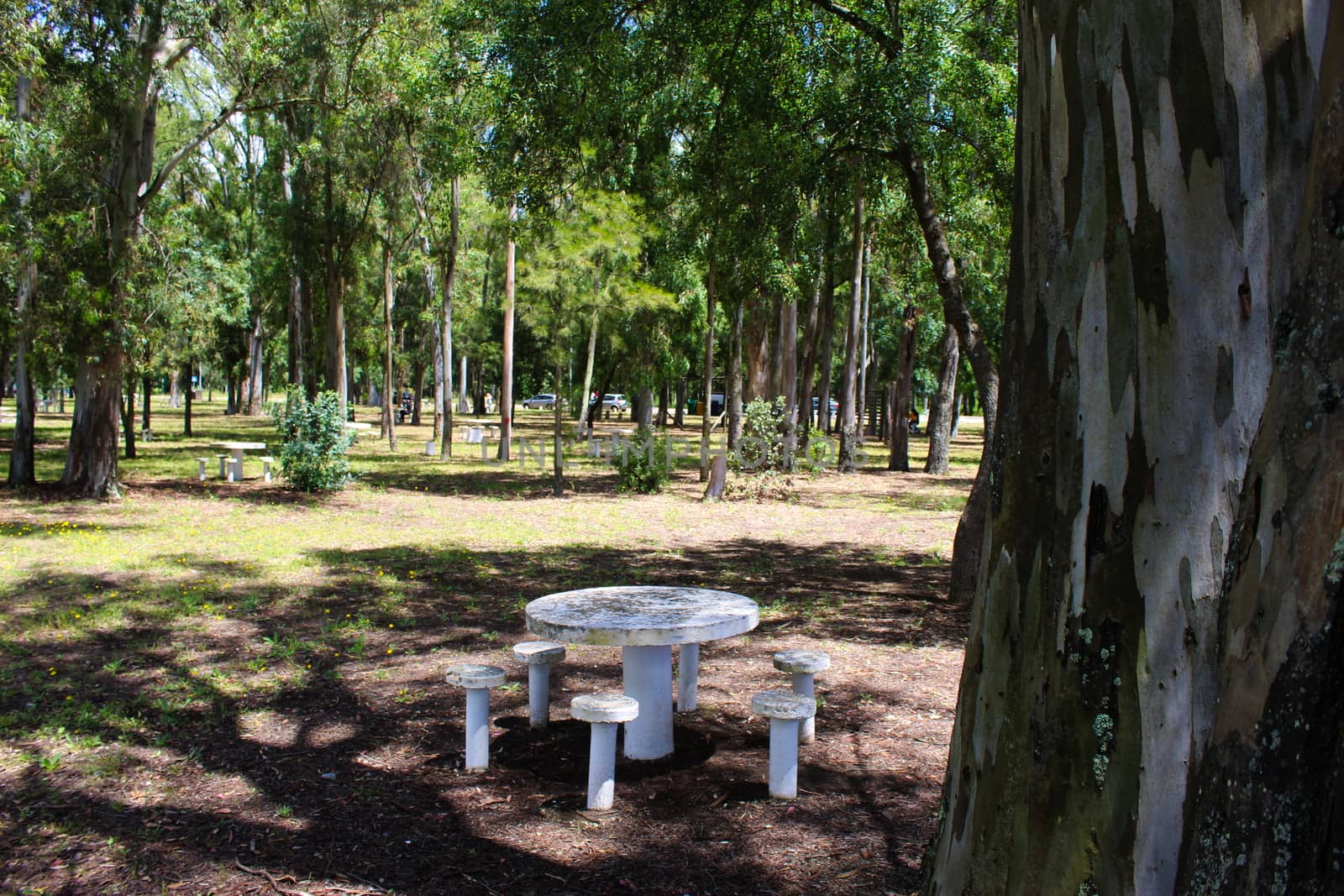 Park, nature, relaxing. Park in Beja, Portugal.