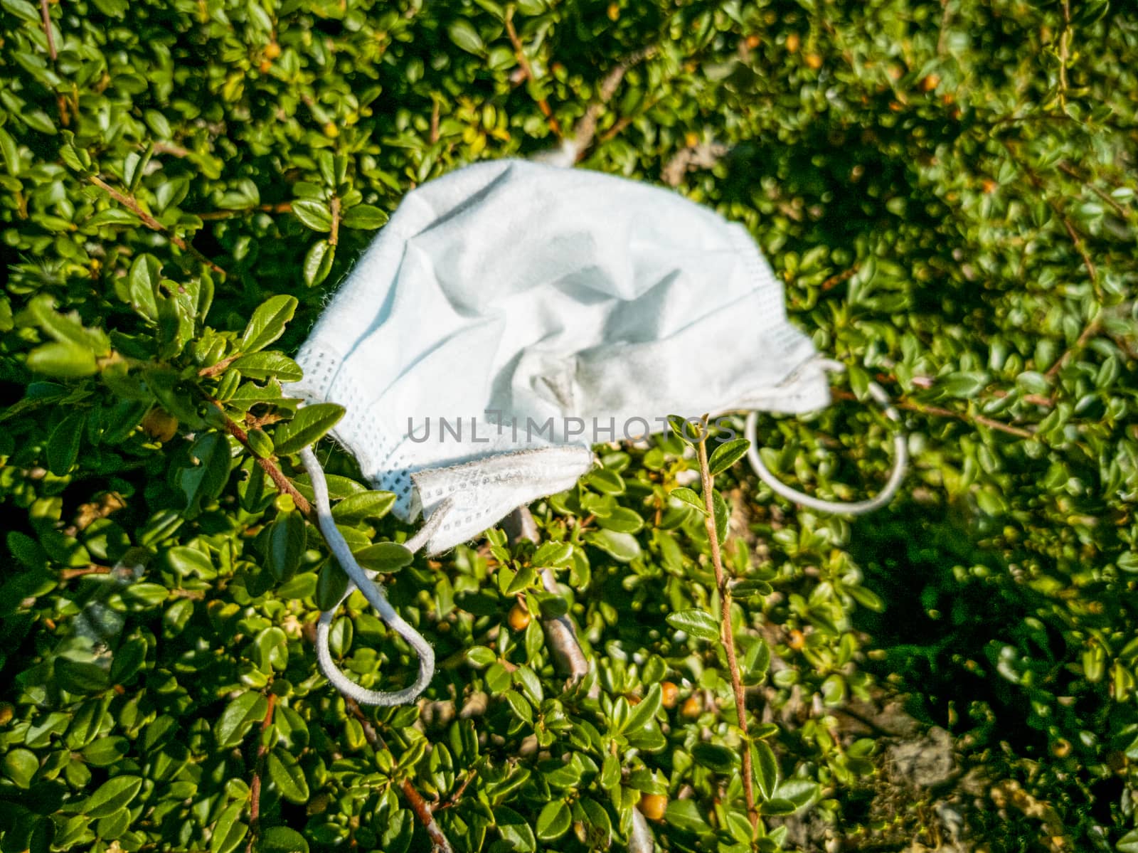 Surgical masks in the nature. Hanging on a tree. Corona virus pollution. Leherheide, Bremerhaven.