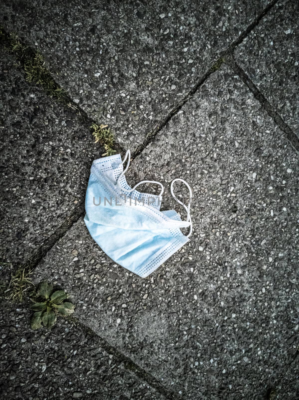 Surgical blue masks on the ground. Corona virus pollution. Leherheide, Bremerhaven.