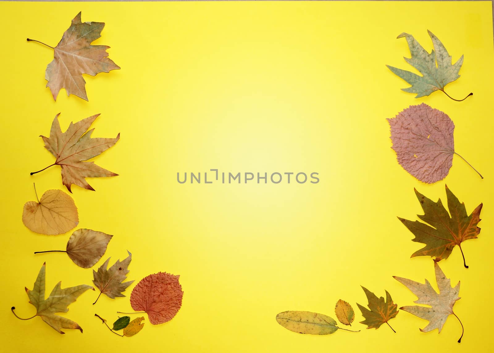 autumn leaves on a yellow background, copy space, mockup blank by Annado
