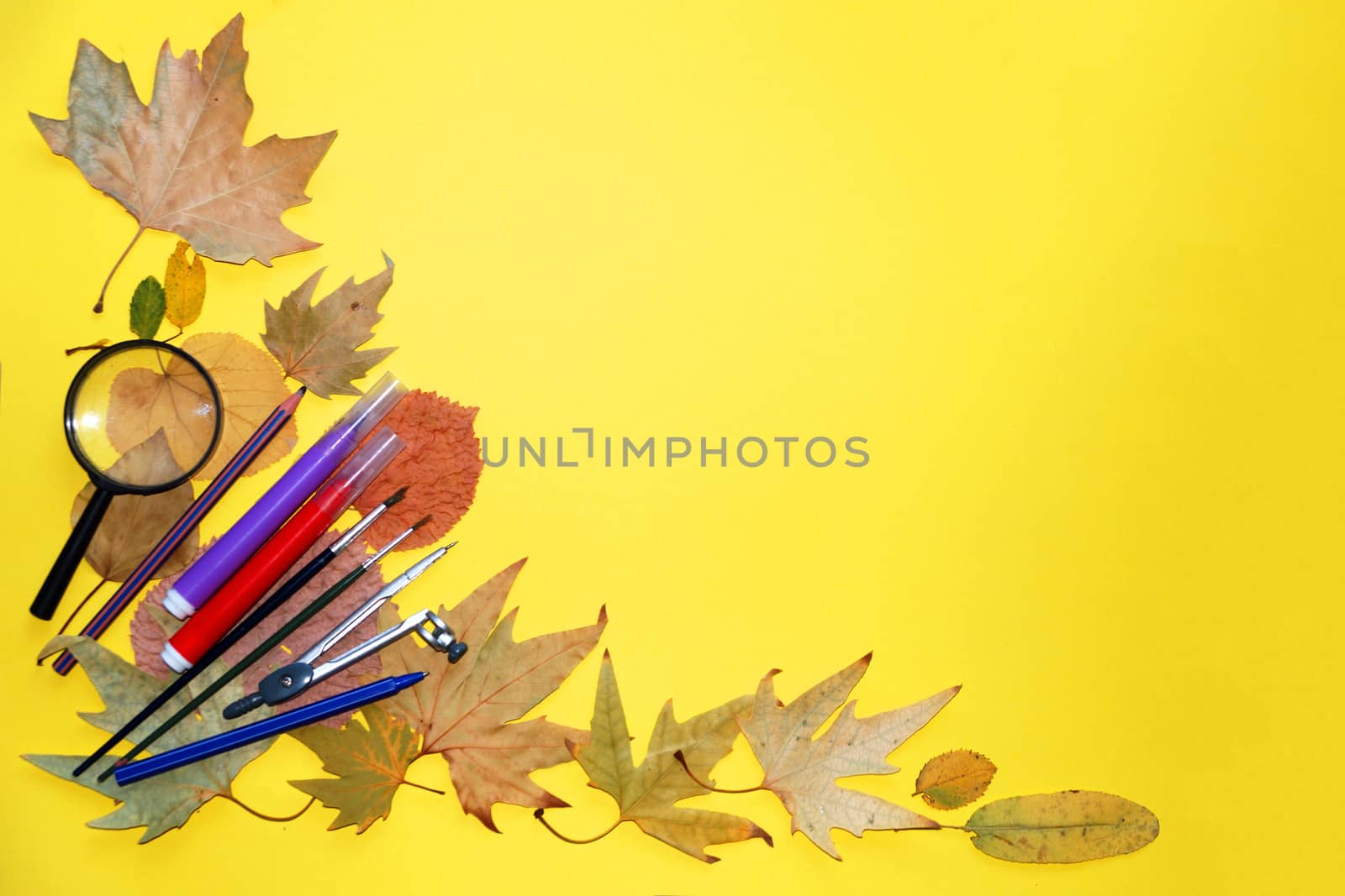 school stationery and autumn leaves on a yellow background, copy space, mockup blank by Annado