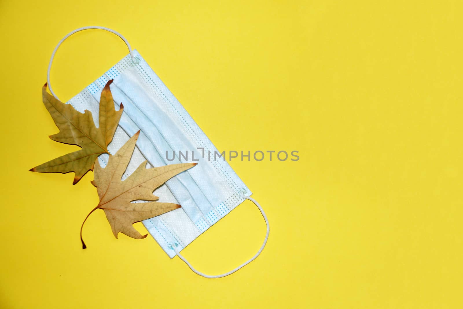 medical mask and autumn leaves on yellow background, copy space, mockup blank by Annado