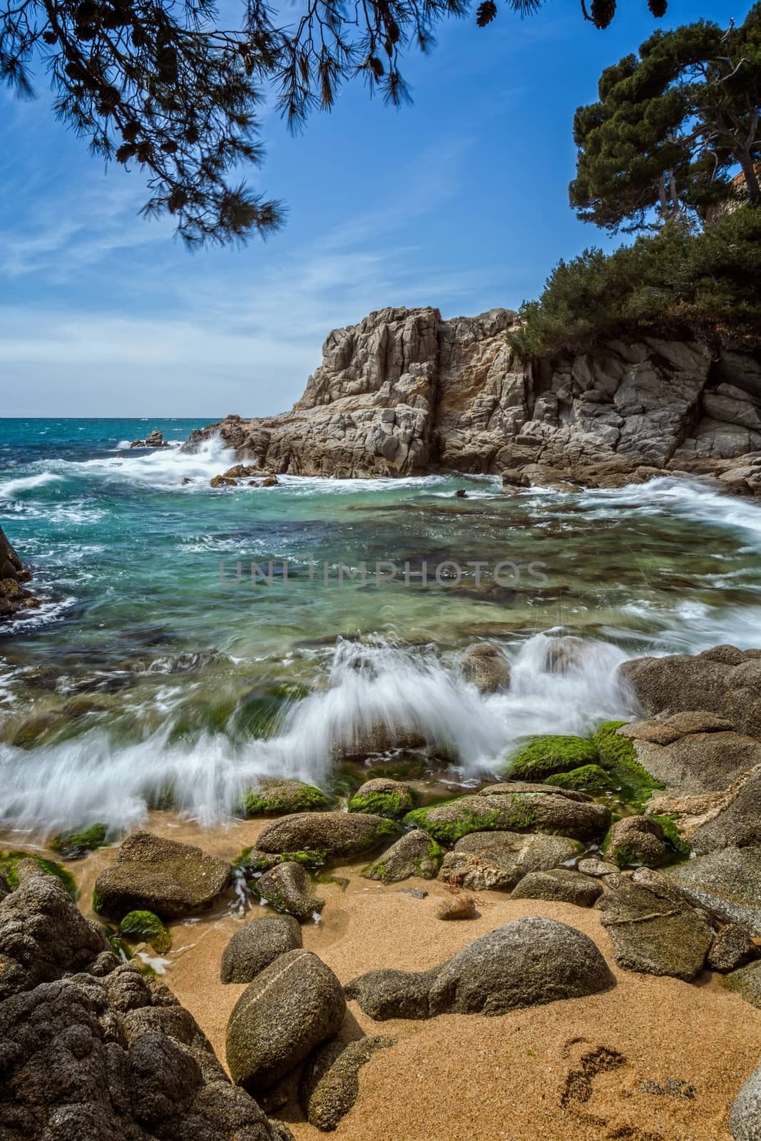 Detail of the Spanish coast at summer (Catalonia,Costa Brava) by Digoarpi