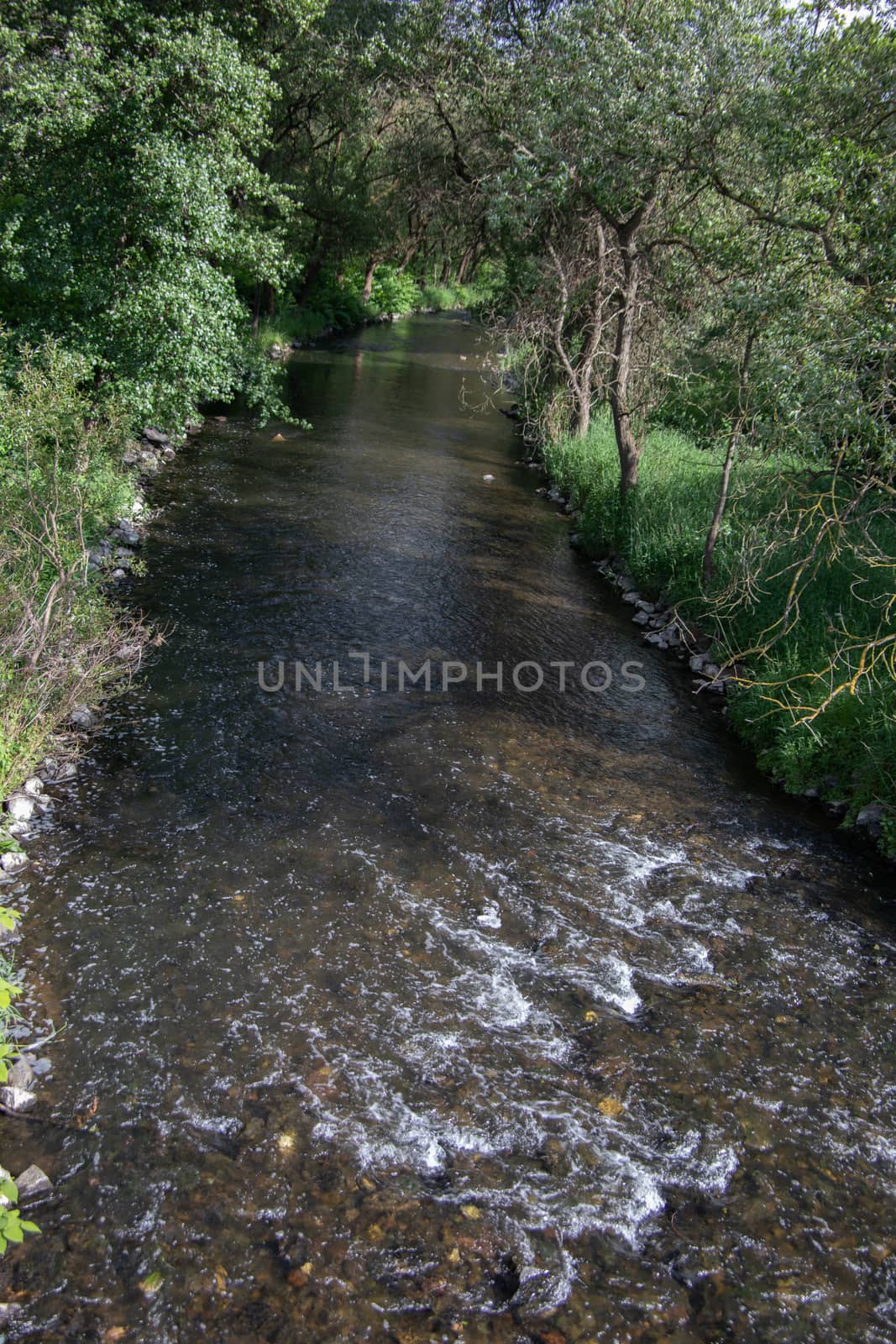 the course of the river the victory through thick forest