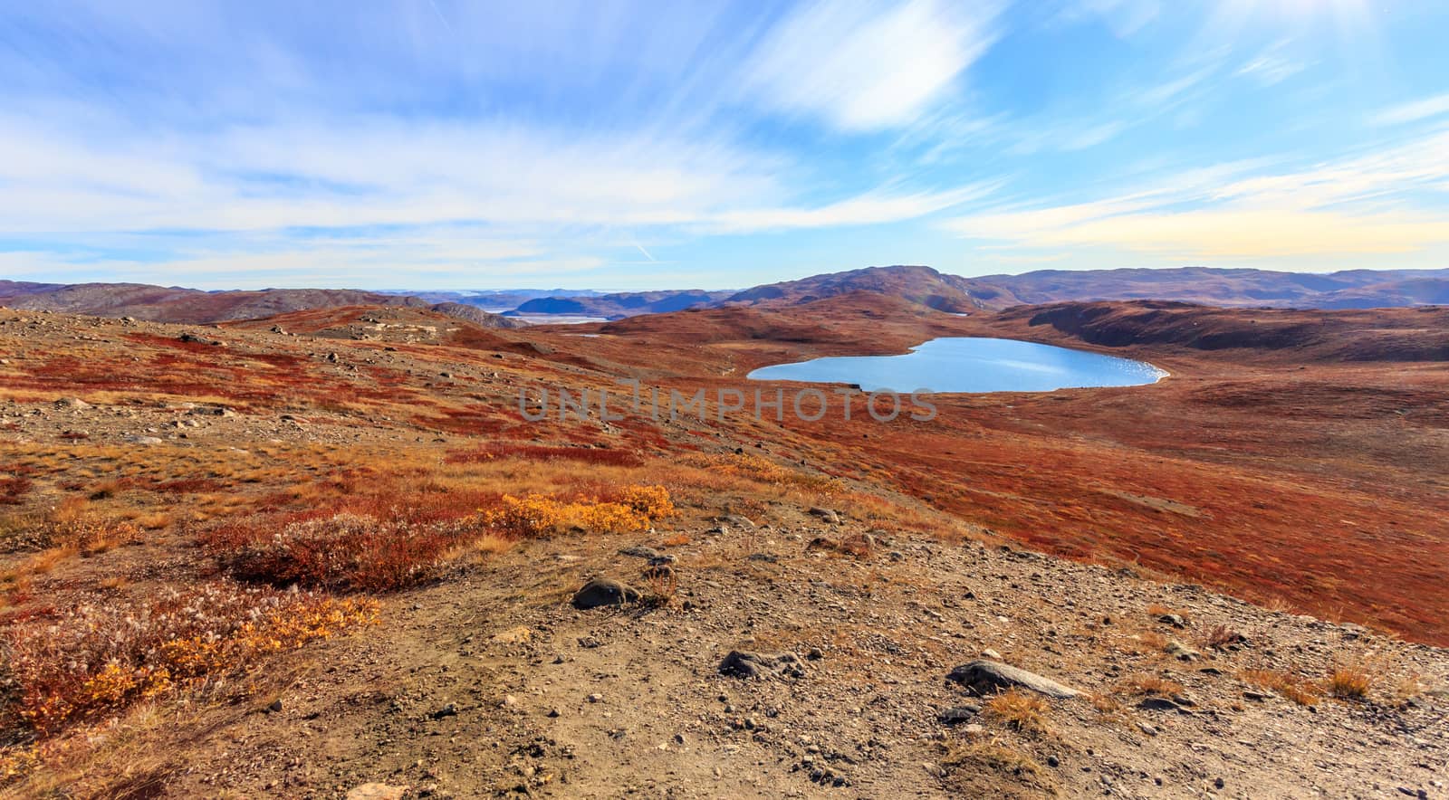 Autumn greenlandic orange tundra landscape with lakes and mounta by ambeon