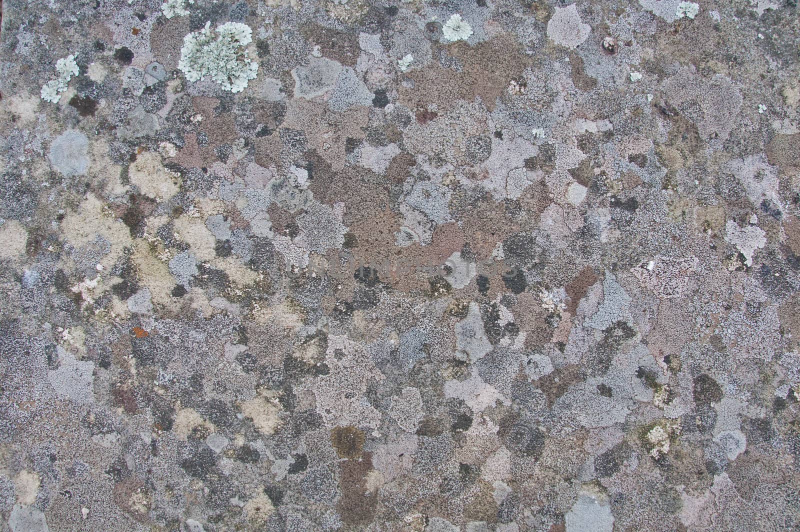 Abstract backgroud of random pattern grey granite stones by eyeofpaul