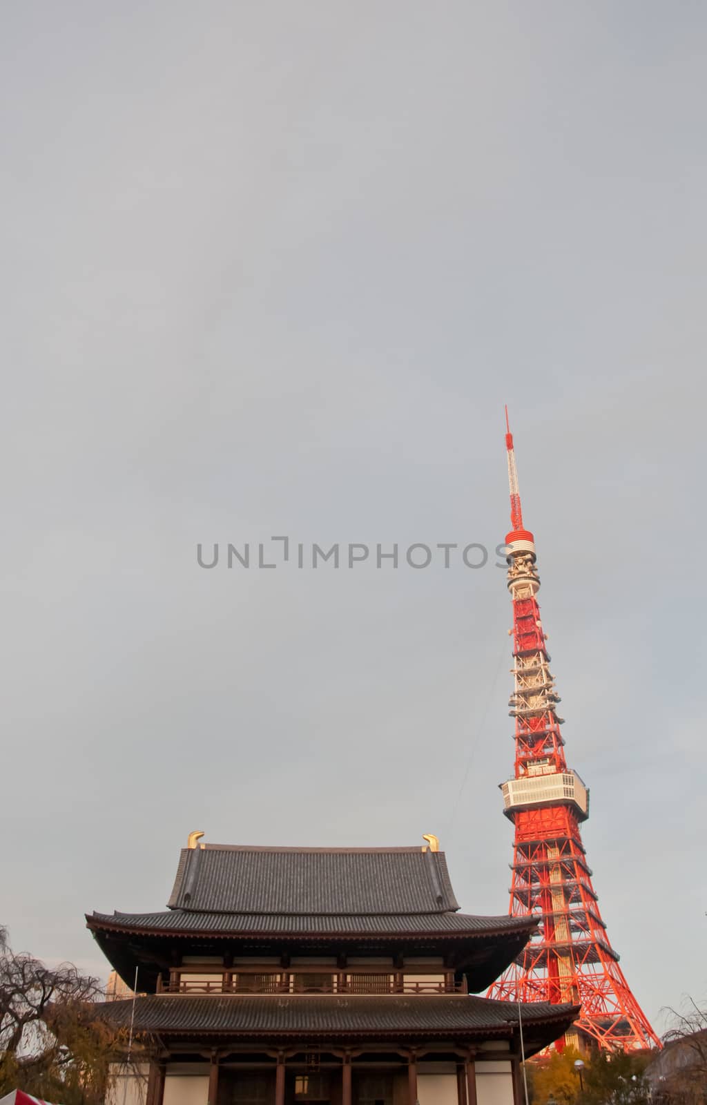 TOKYO, JAPAN - DECEMBER 1, 2018: Zojo-ji Buddhist temple. This is a famous temple which has the oldest wooden main gate in Tokyo built from 1622. There is Tokyo Tower near the temple. There are beautiful yellow leaves trees park in front of the temple.