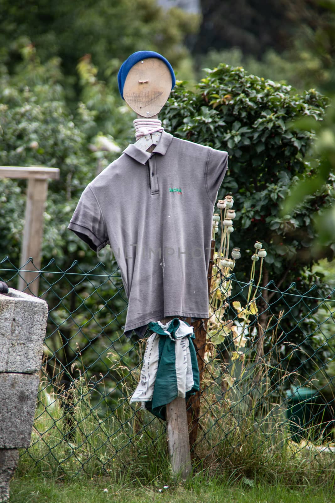 funny scarecrow with clothes in the garden