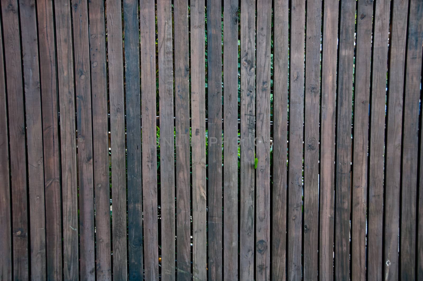 Classic dark brown wooden wall by eyeofpaul