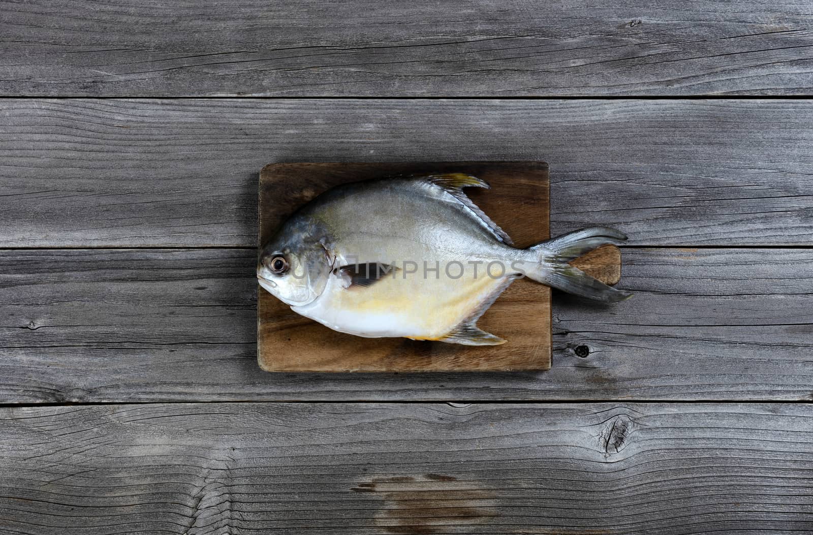 Overhead view of a fresh whole silver pomfret fish on wooden ser by tab1962