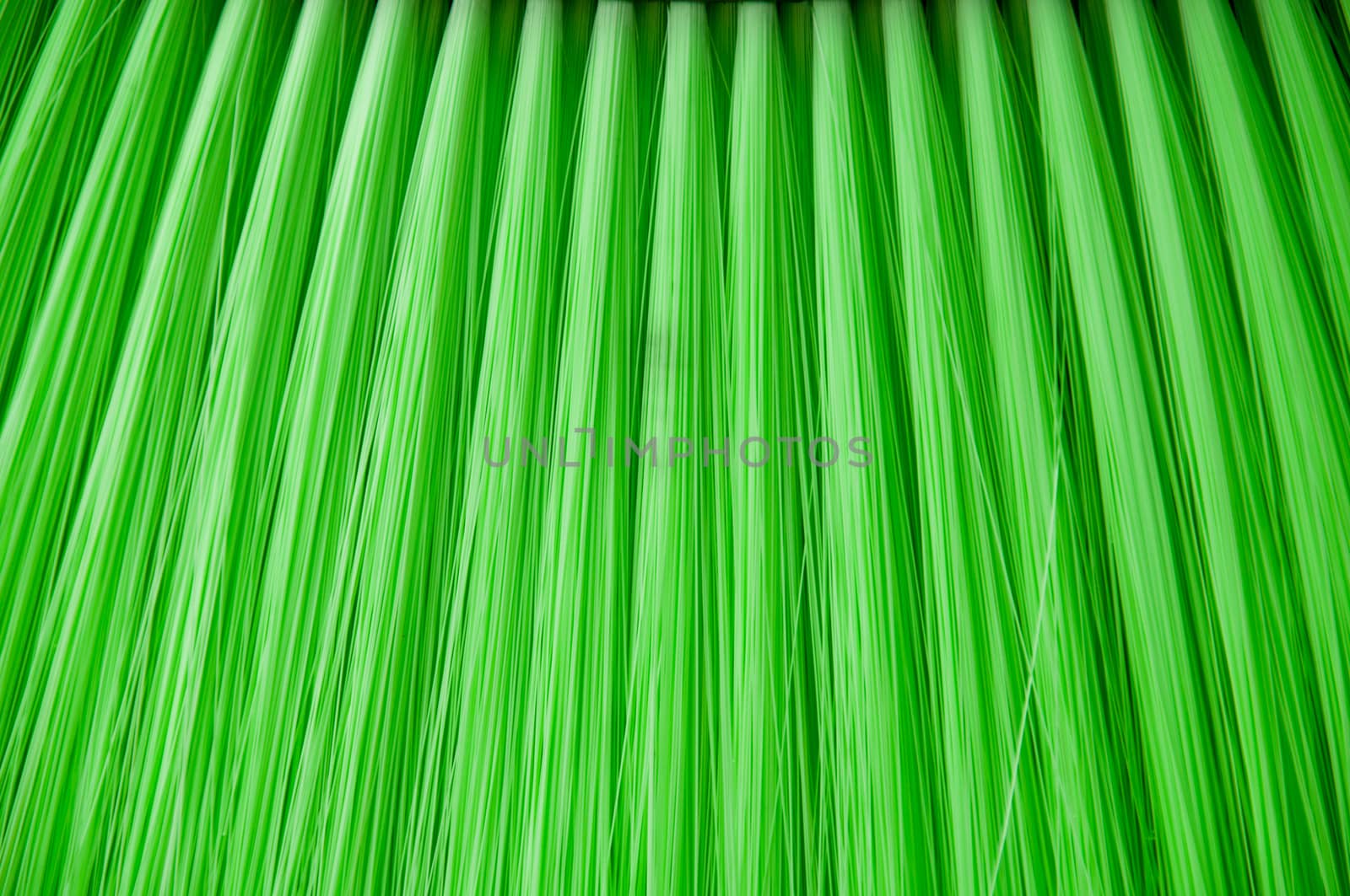 Green line stripes close up by eyeofpaul