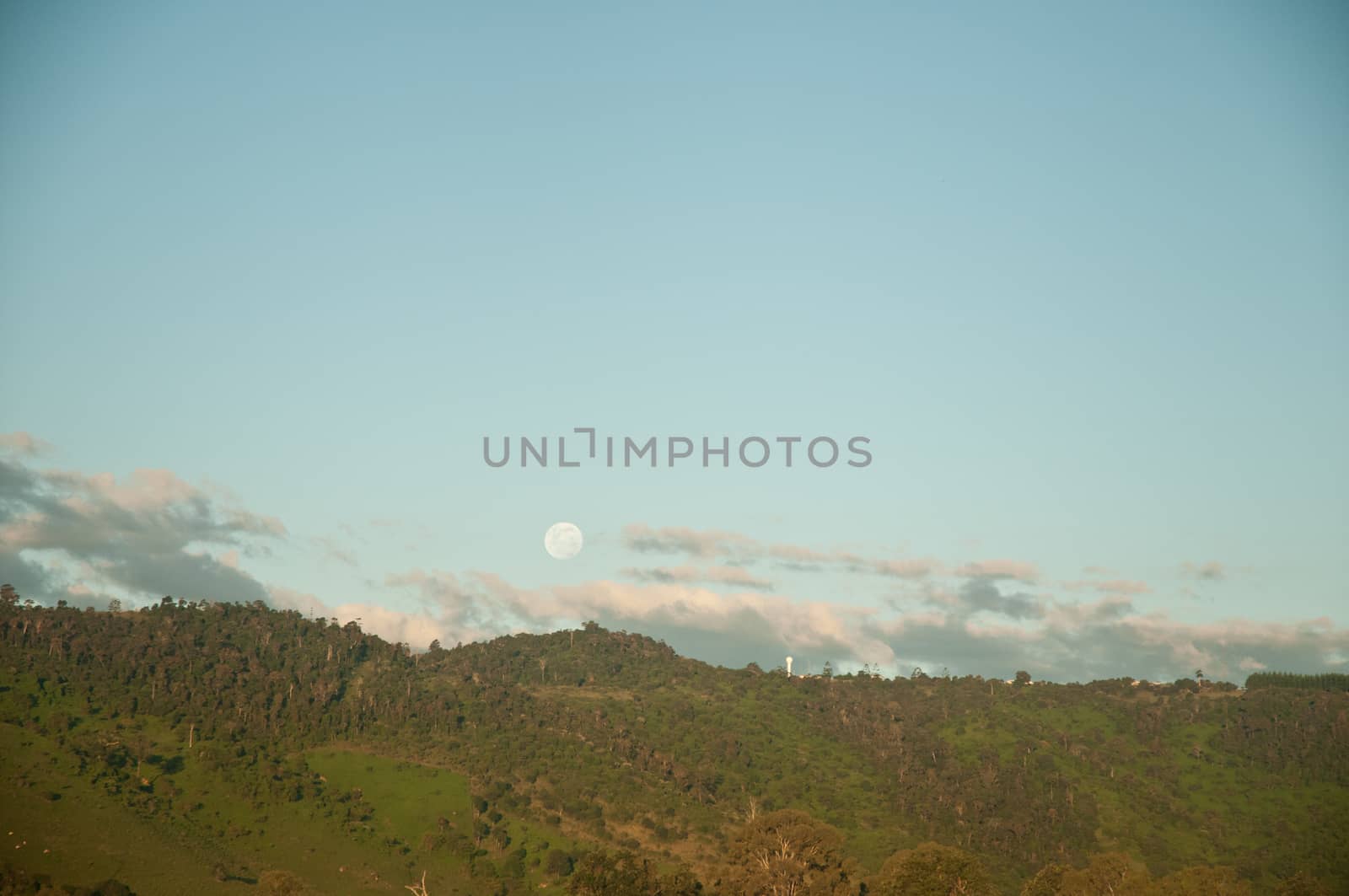 Moon and outback forest scenery in Australia by eyeofpaul