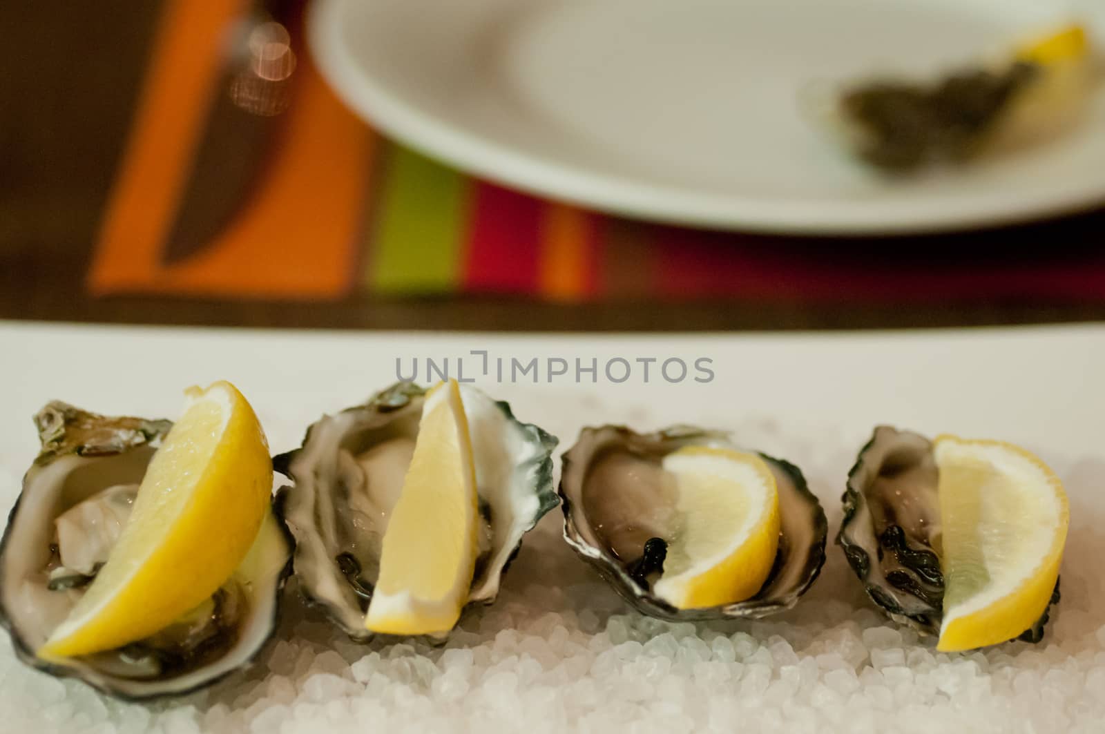 Fresh pacific oysters with lemon on salt plate by eyeofpaul