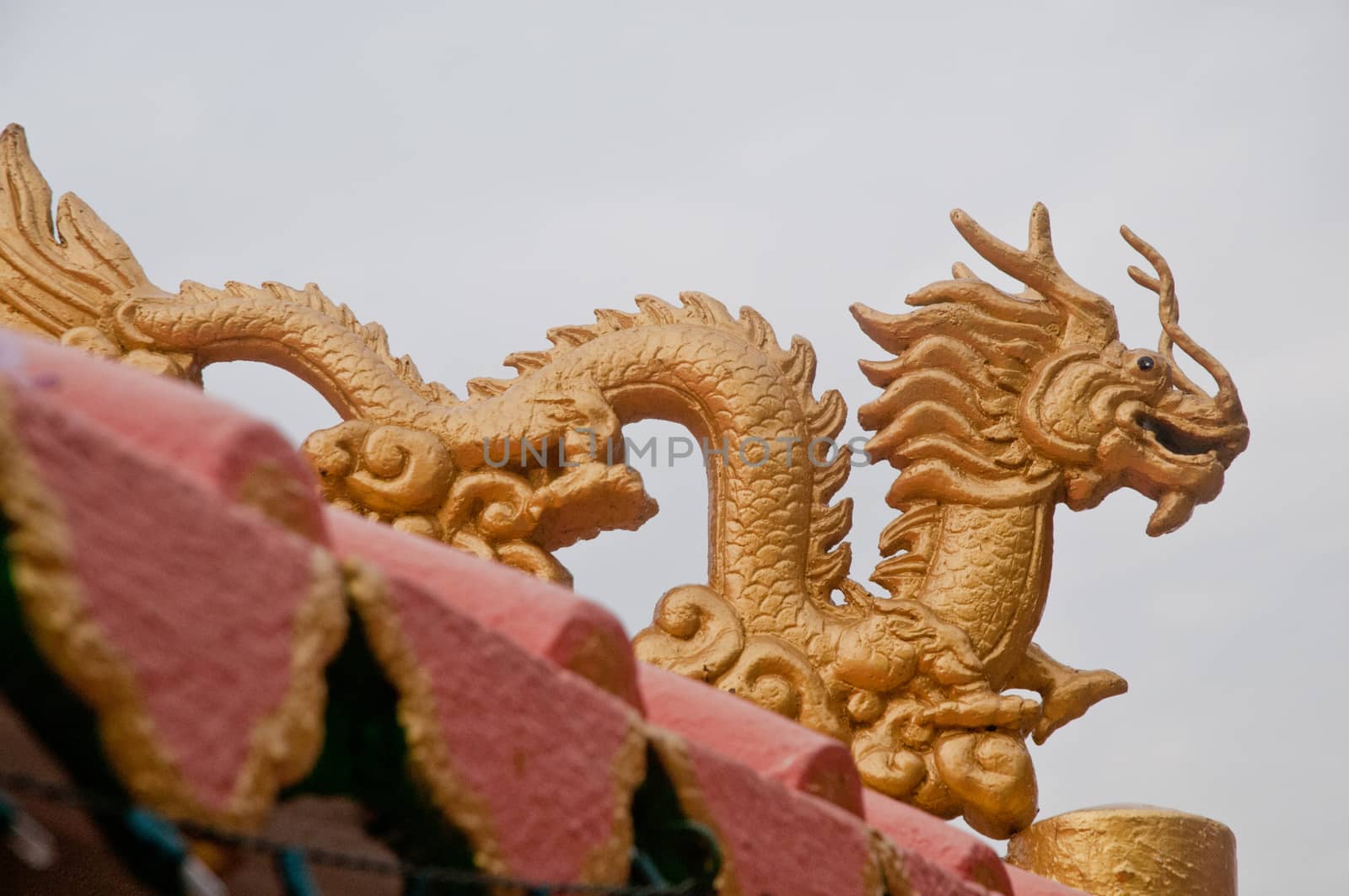 Golden dragon statue in China by eyeofpaul