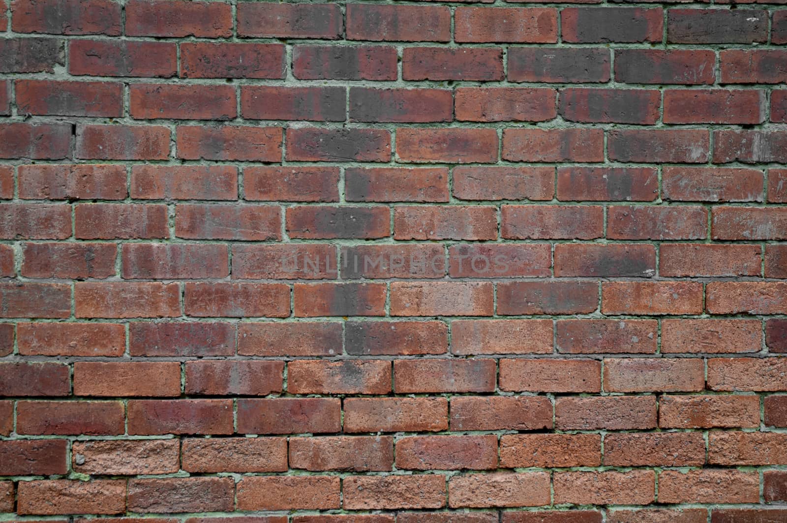 Classical vintage red brick wall by eyeofpaul