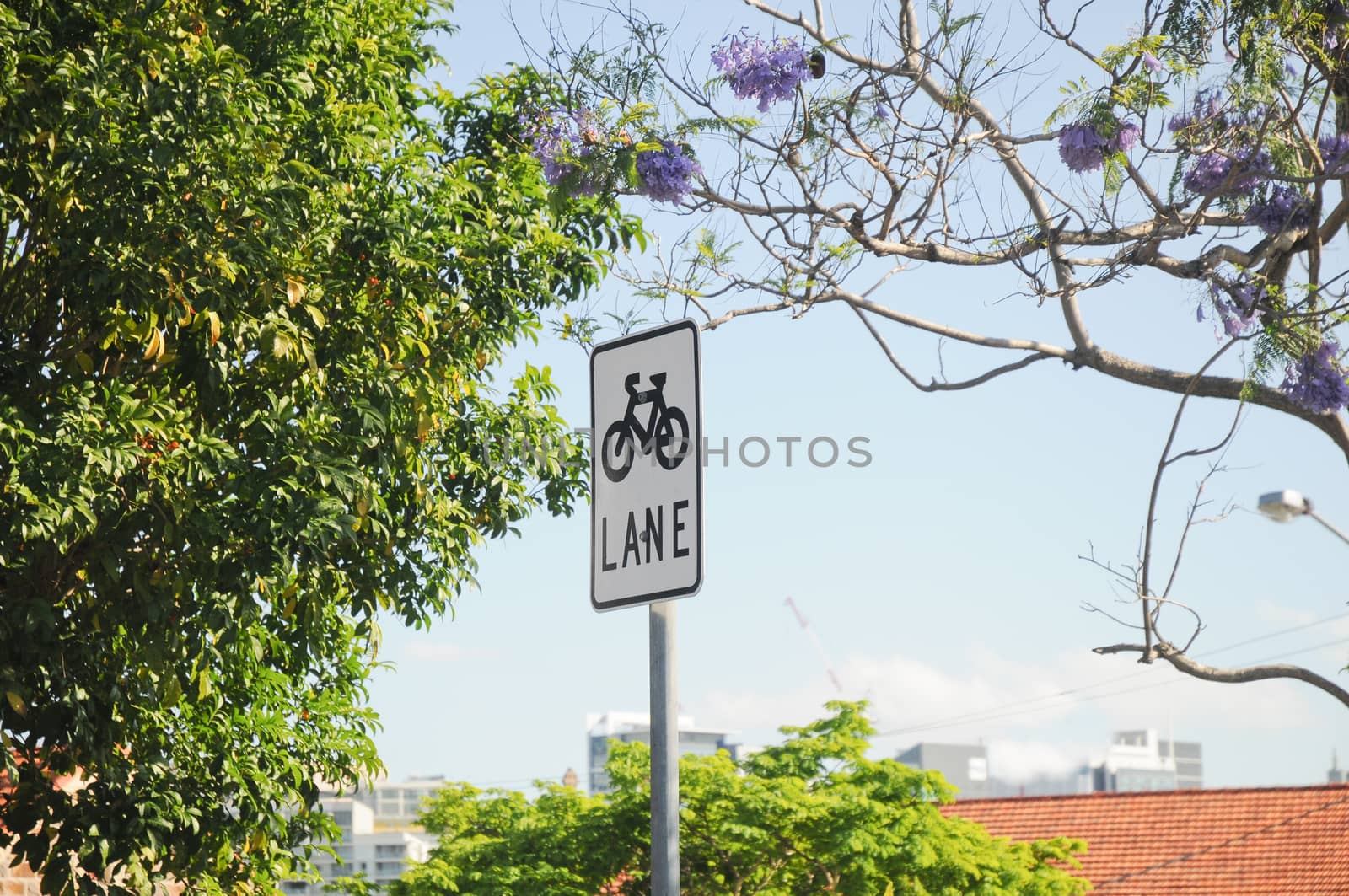Bike lane sign on a pole