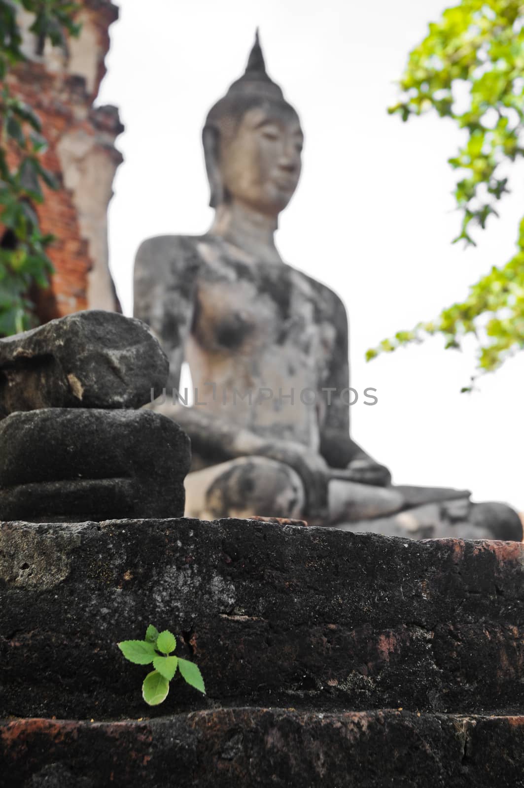 Ayudhaya ancient Buddha statue Thailand by eyeofpaul